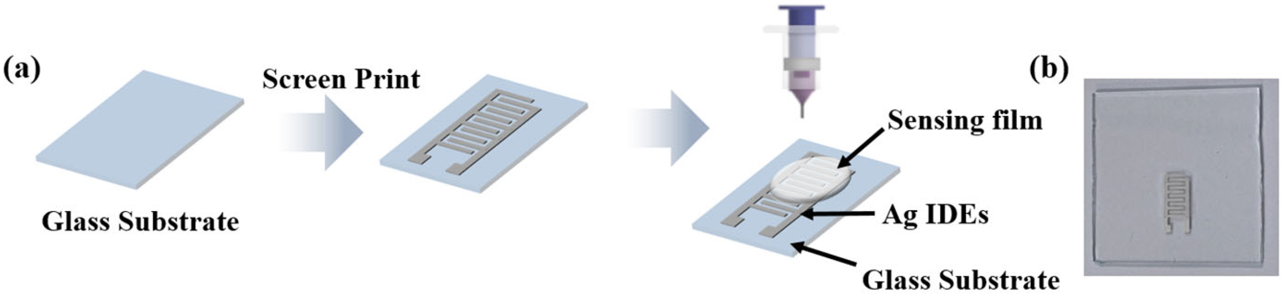 Chemosensors 10 00464 g001