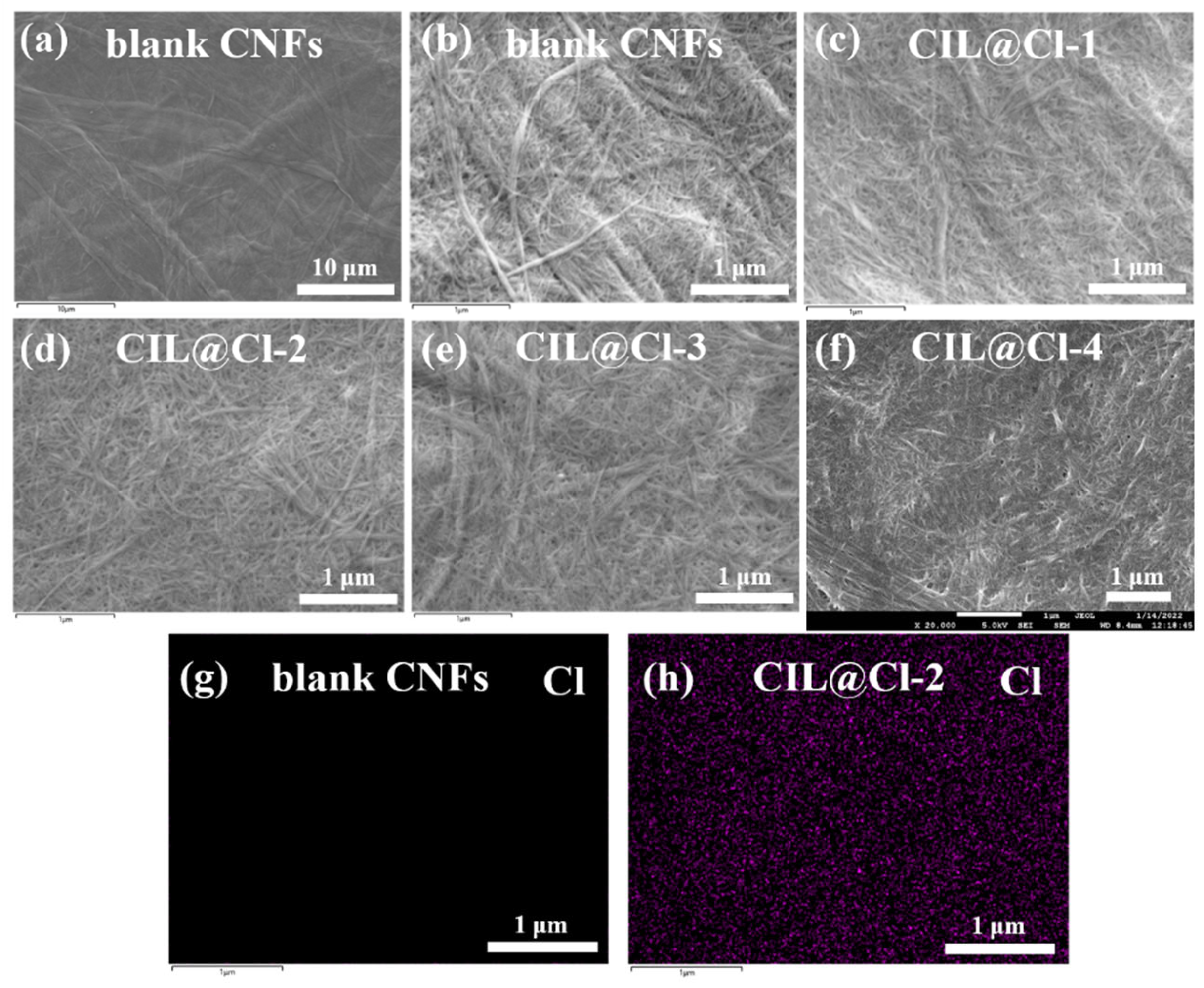 Chemosensors 10 00464 g002
