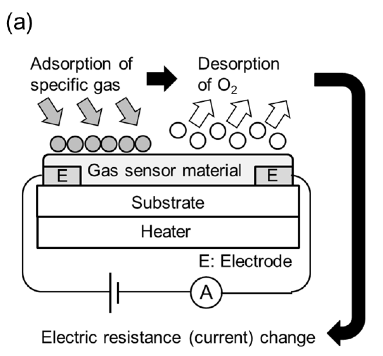 Chemosensors 10 00482 g001a