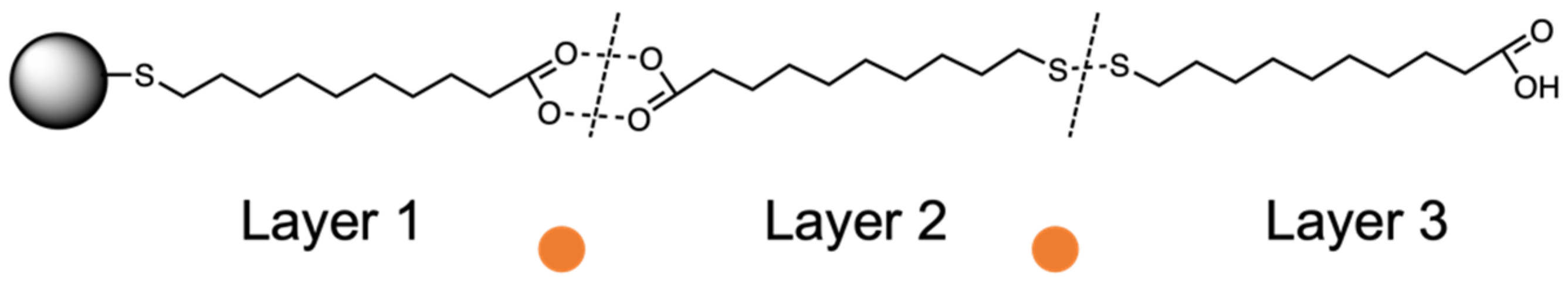Chemosensors 10 00483 g006