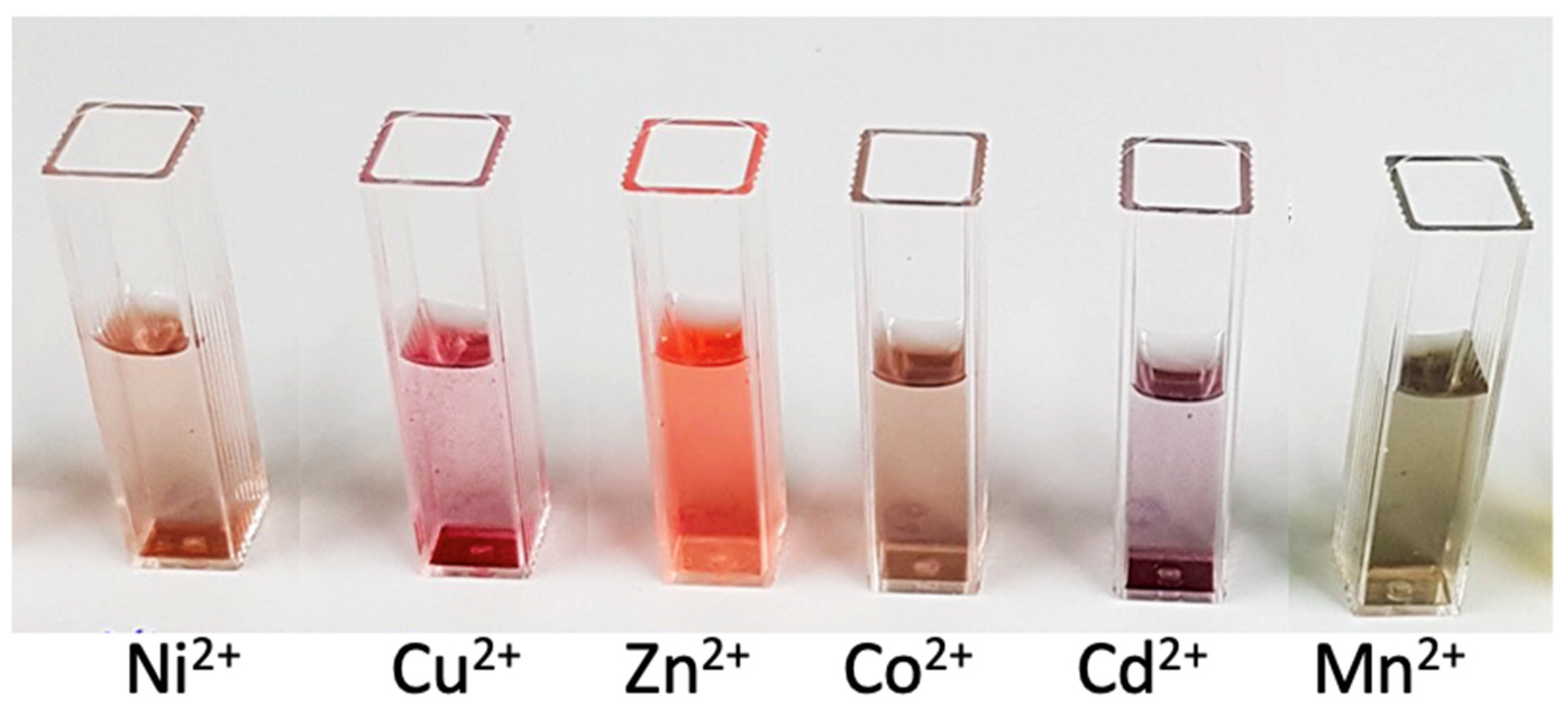 Chemosensors 10 00483 g010