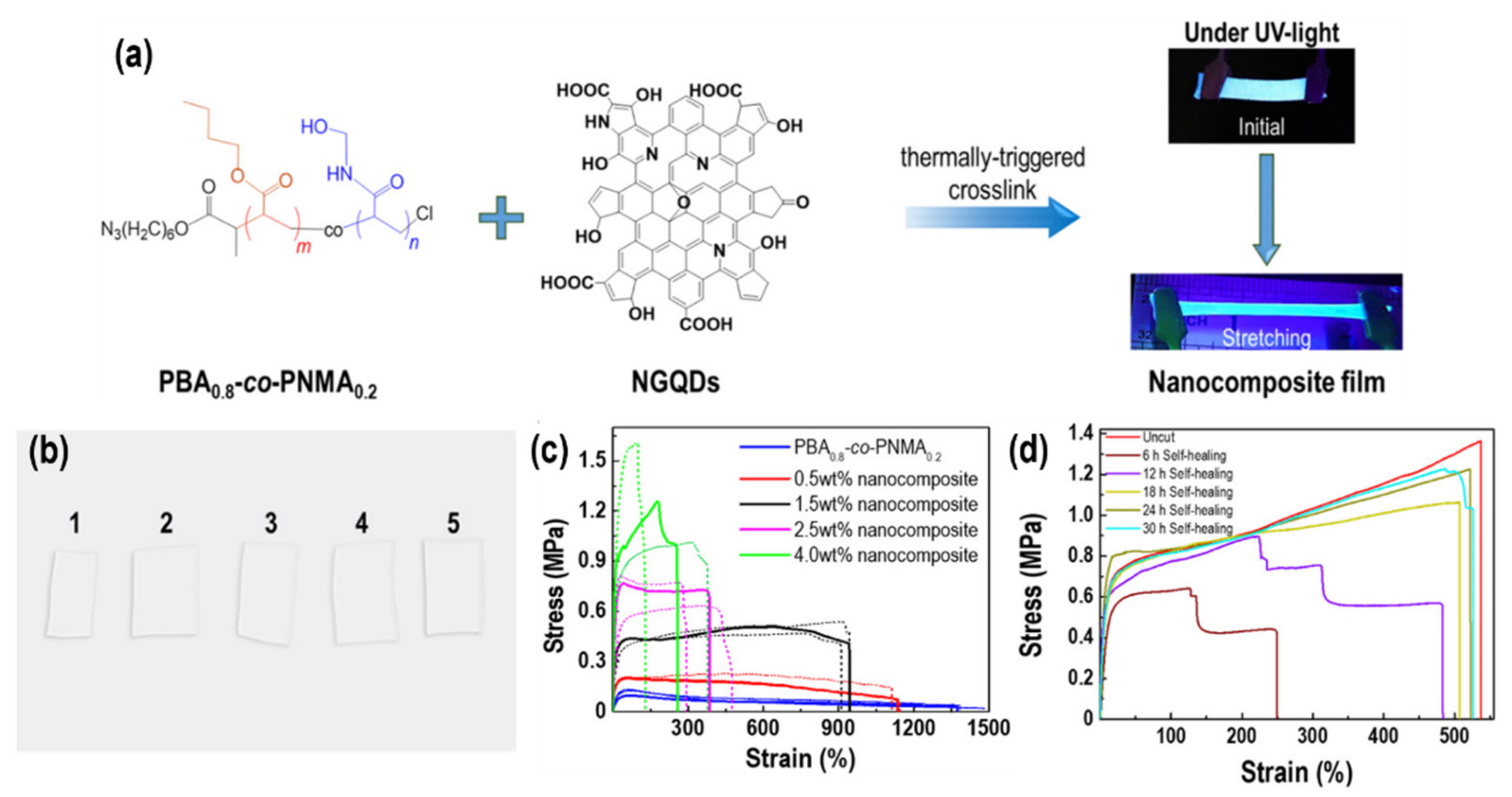 Chemosensors 10 00498 g006
