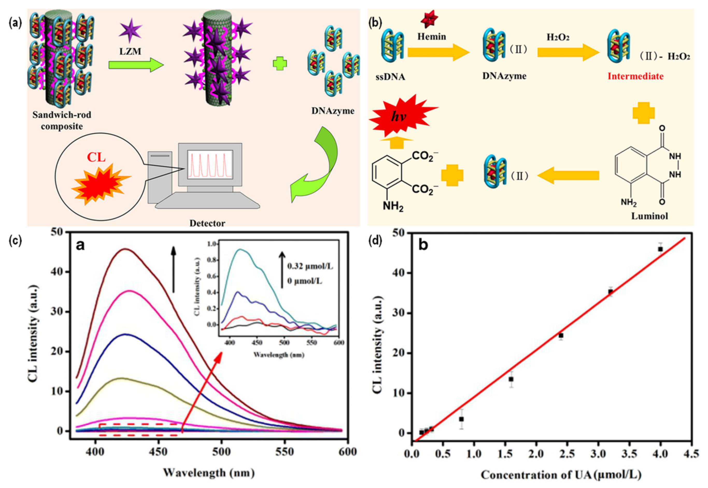Chemosensors 10 00498 g010