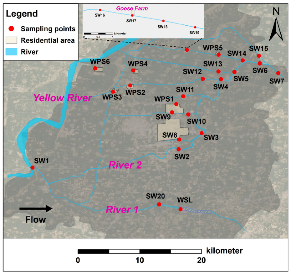 Chemosensors 10 00502 g001