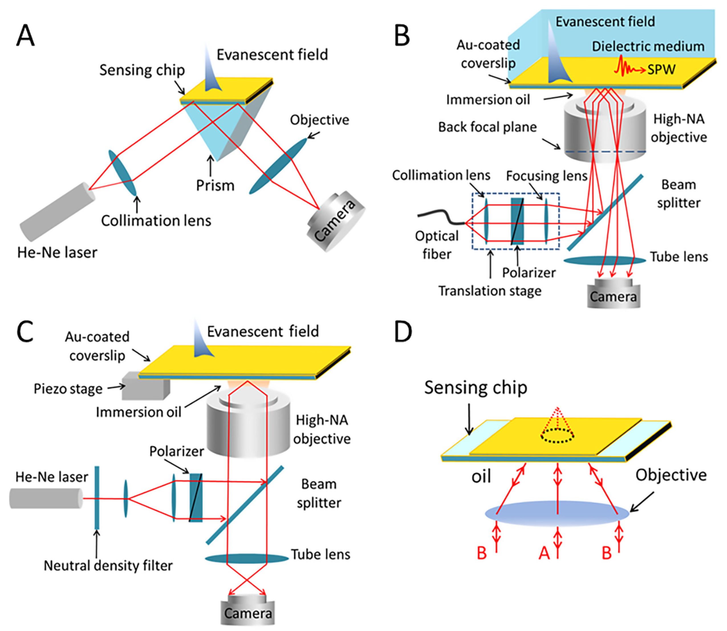 Chemosensors 10 00509 g001
