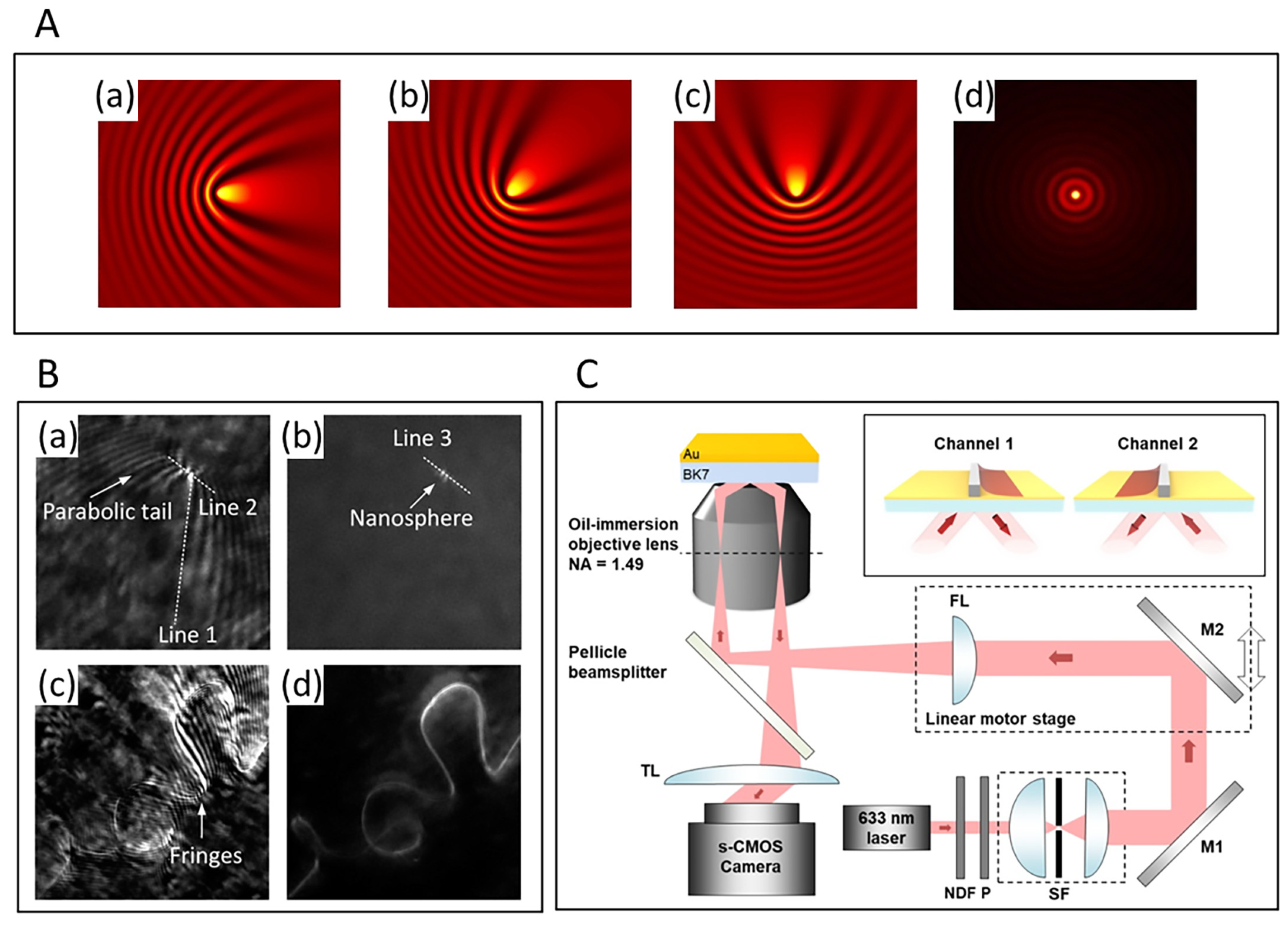 Chemosensors 10 00509 g002