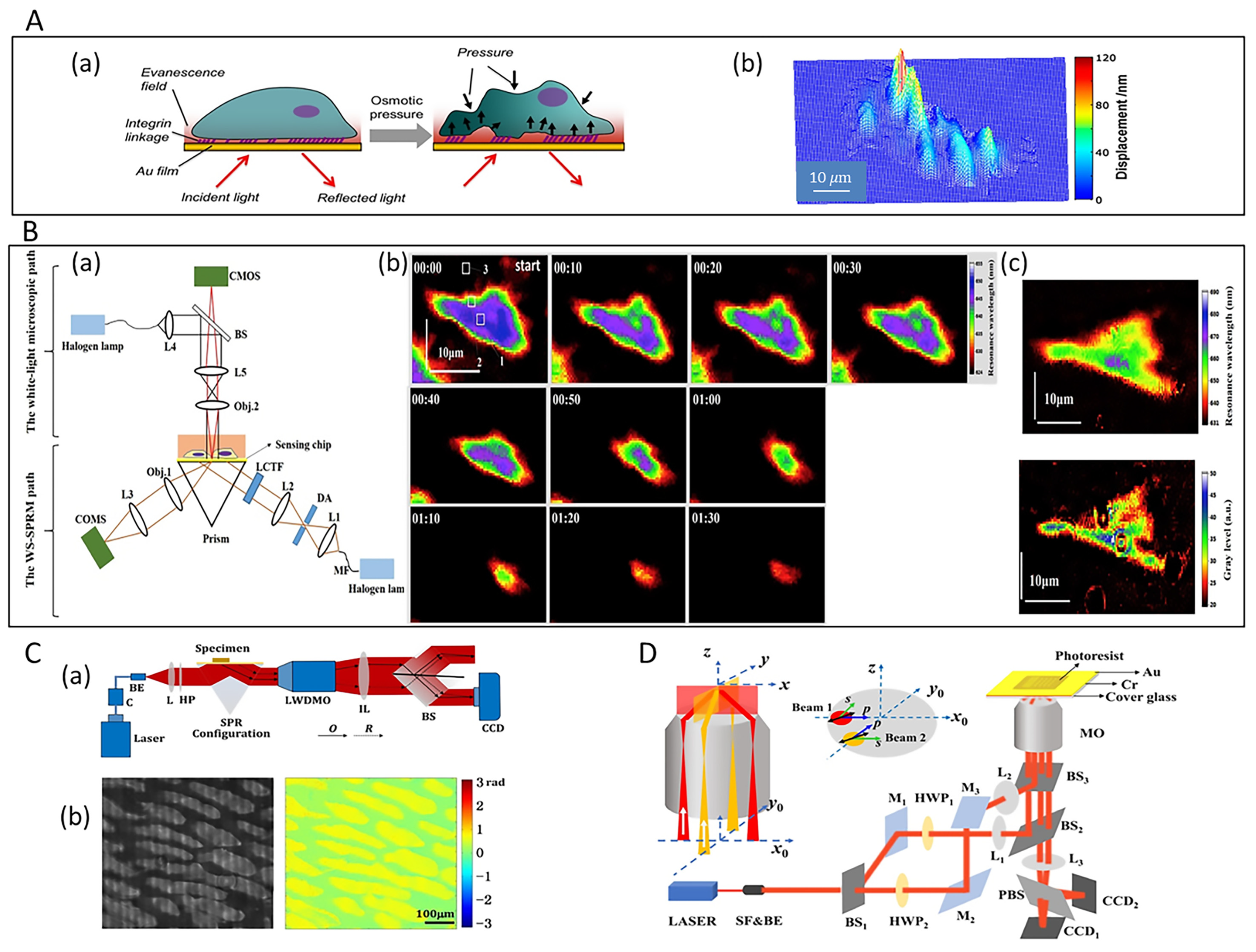 Chemosensors 10 00509 g003
