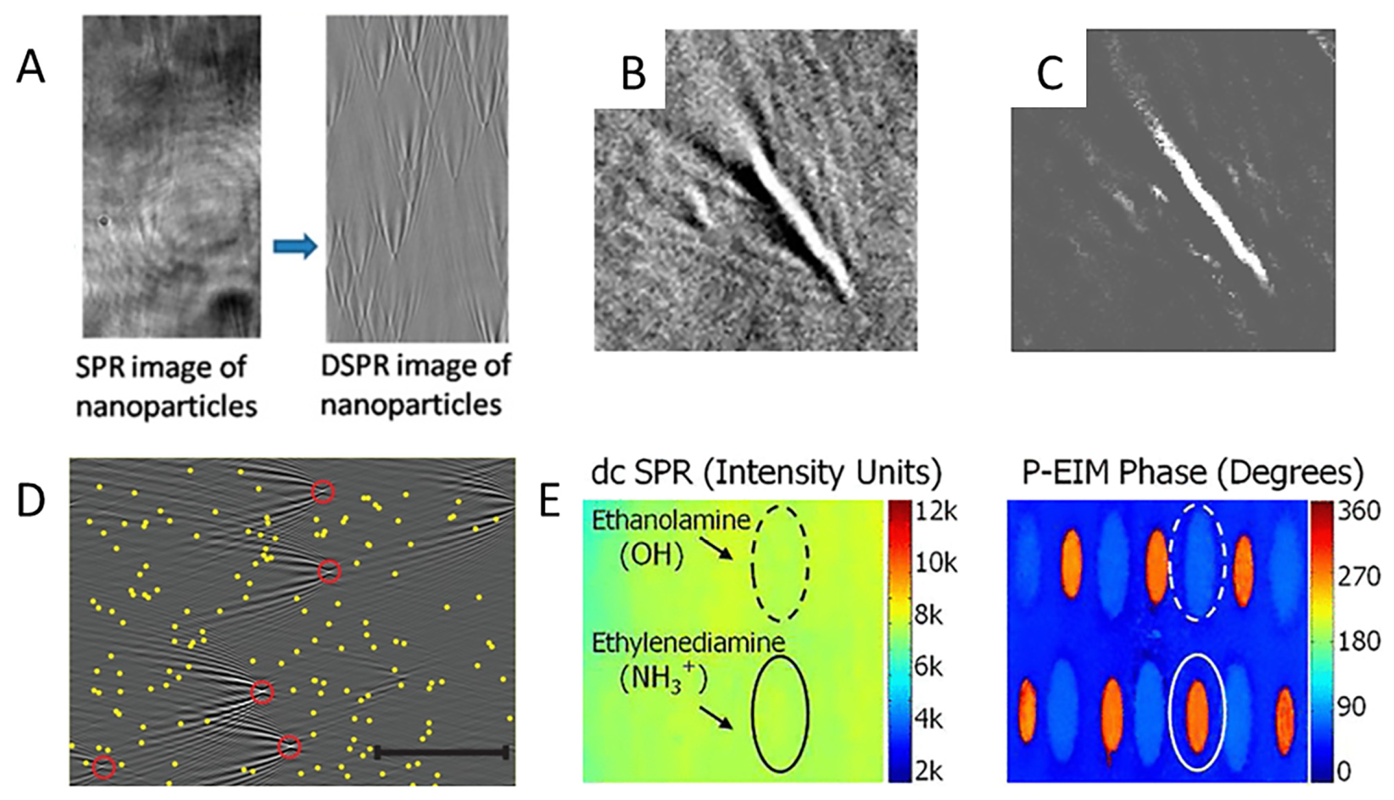 Chemosensors 10 00509 g005