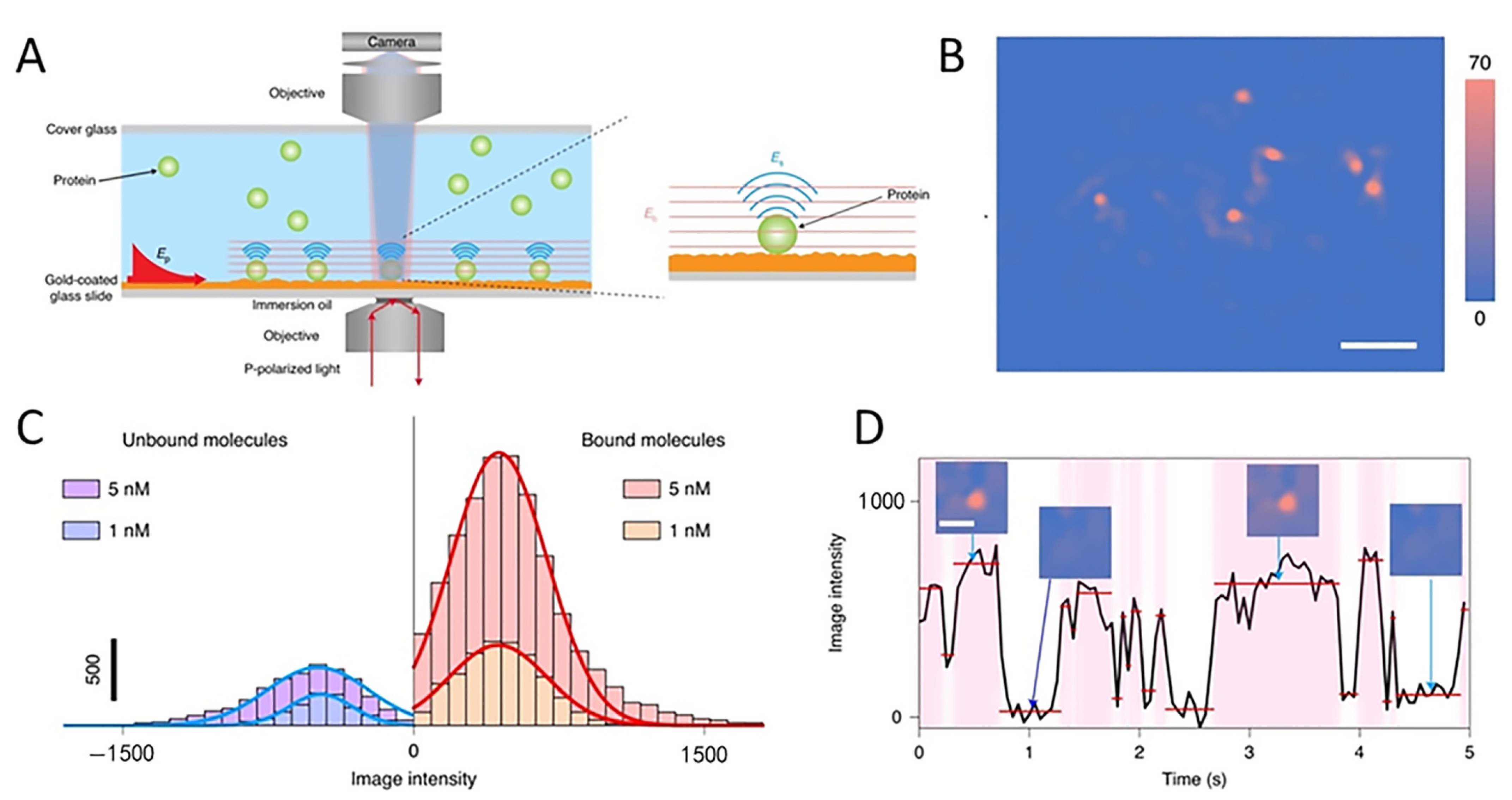 Chemosensors 10 00509 g006