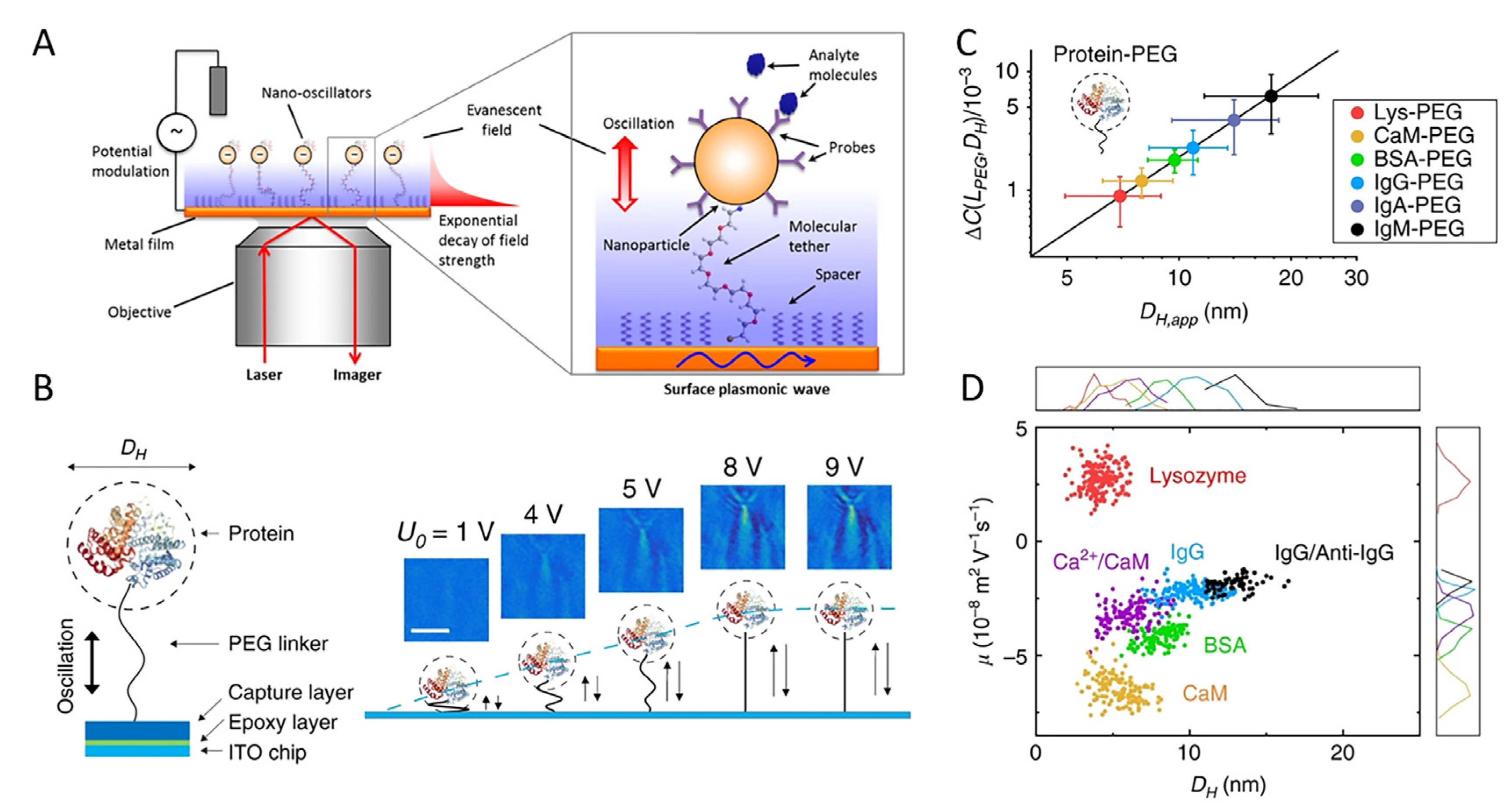 Chemosensors 10 00509 g007