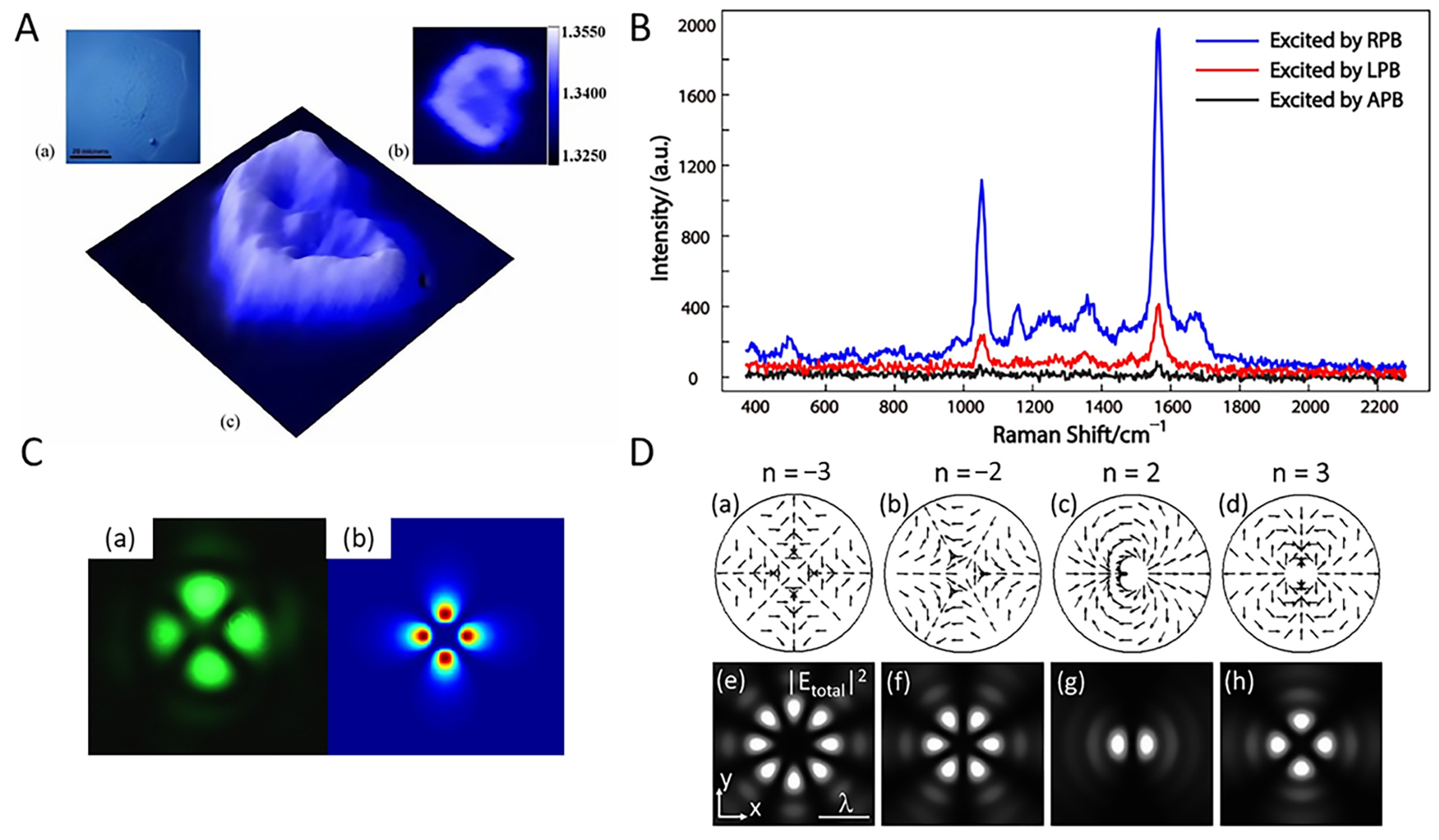 Chemosensors 10 00509 g010