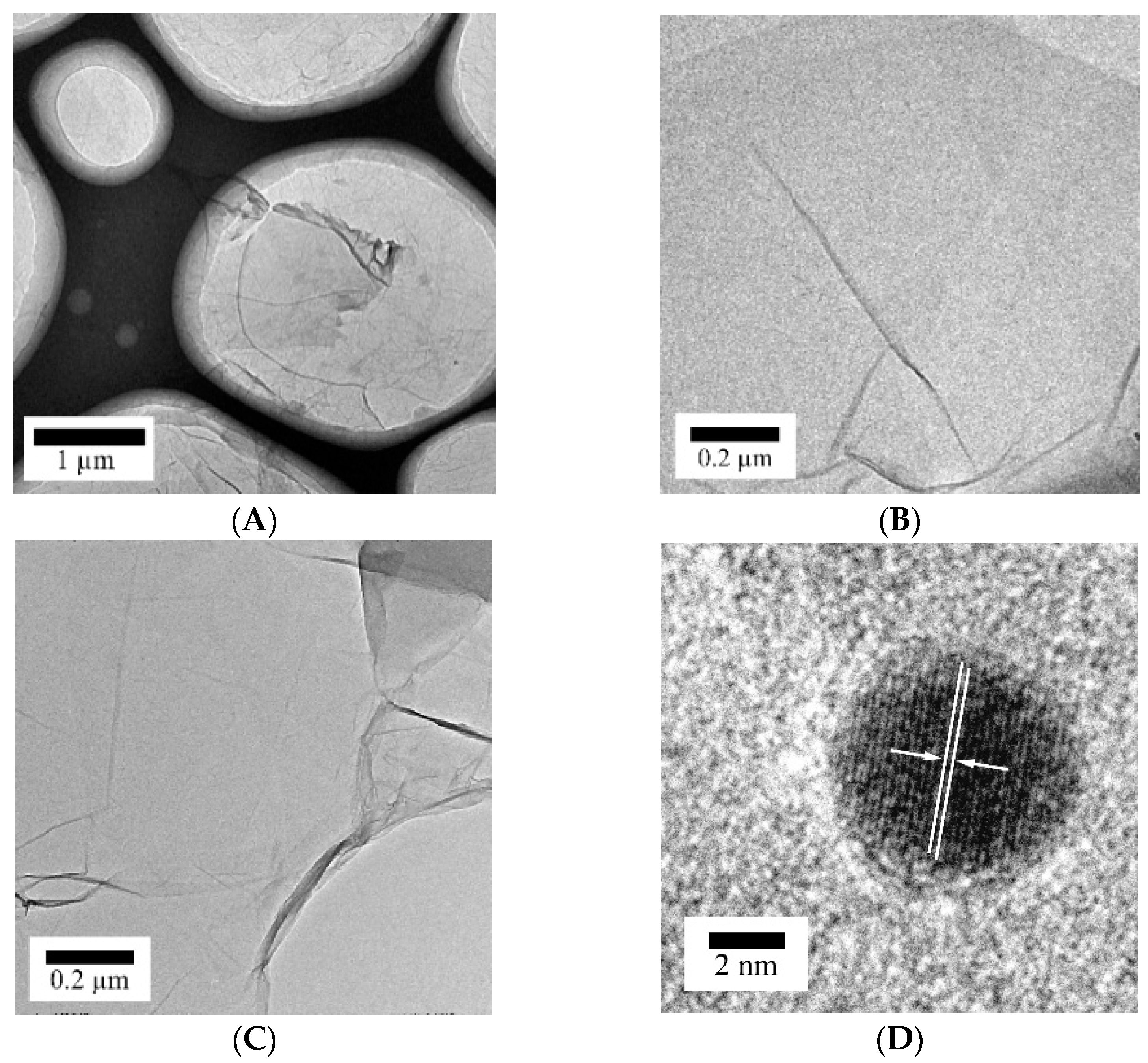 Chemosensors 10 00510 g001