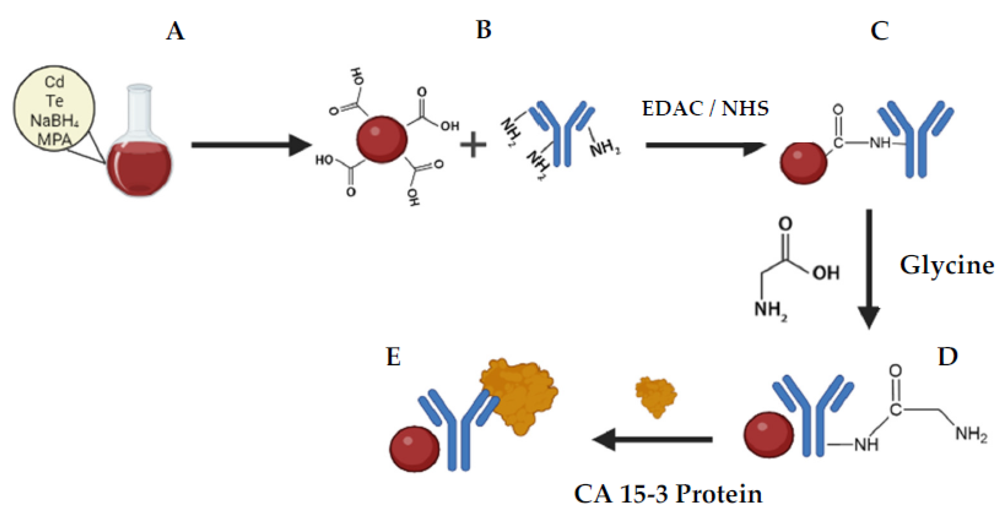 Chemosensors 10 00518 g001