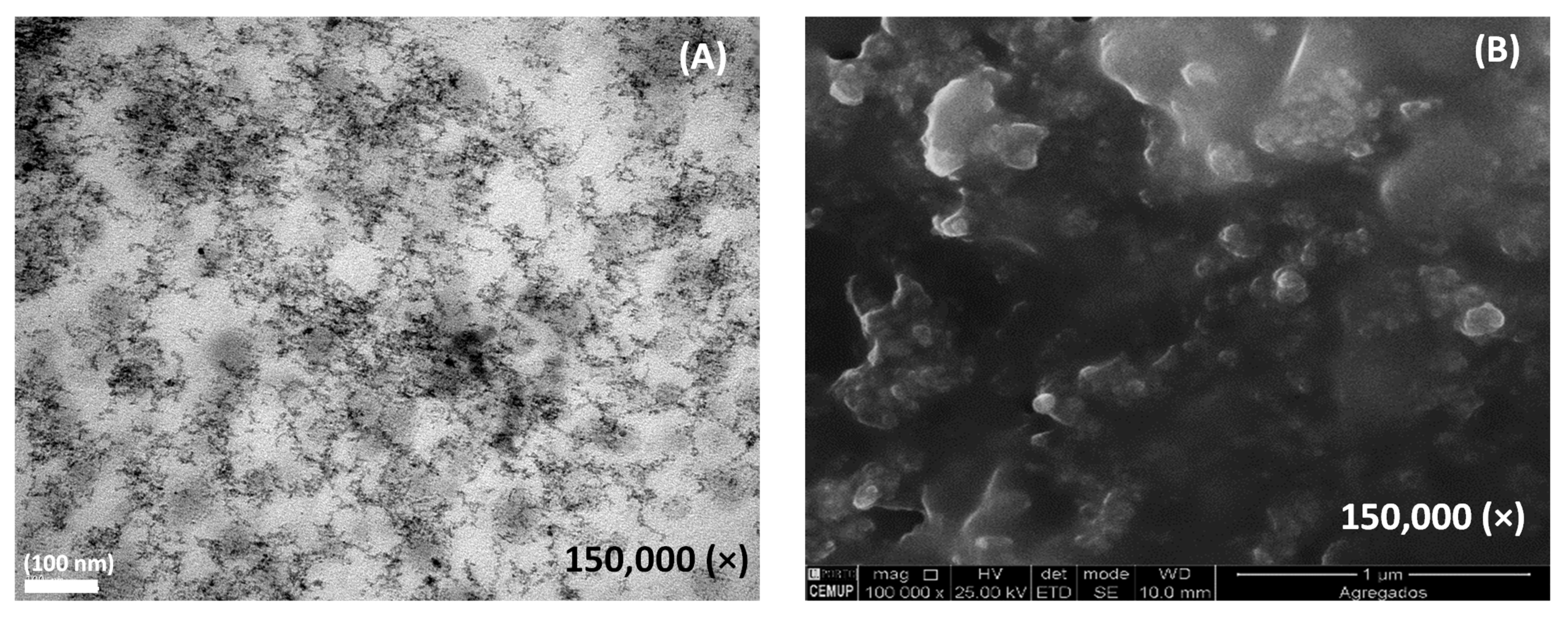Chemosensors 10 00518 g003