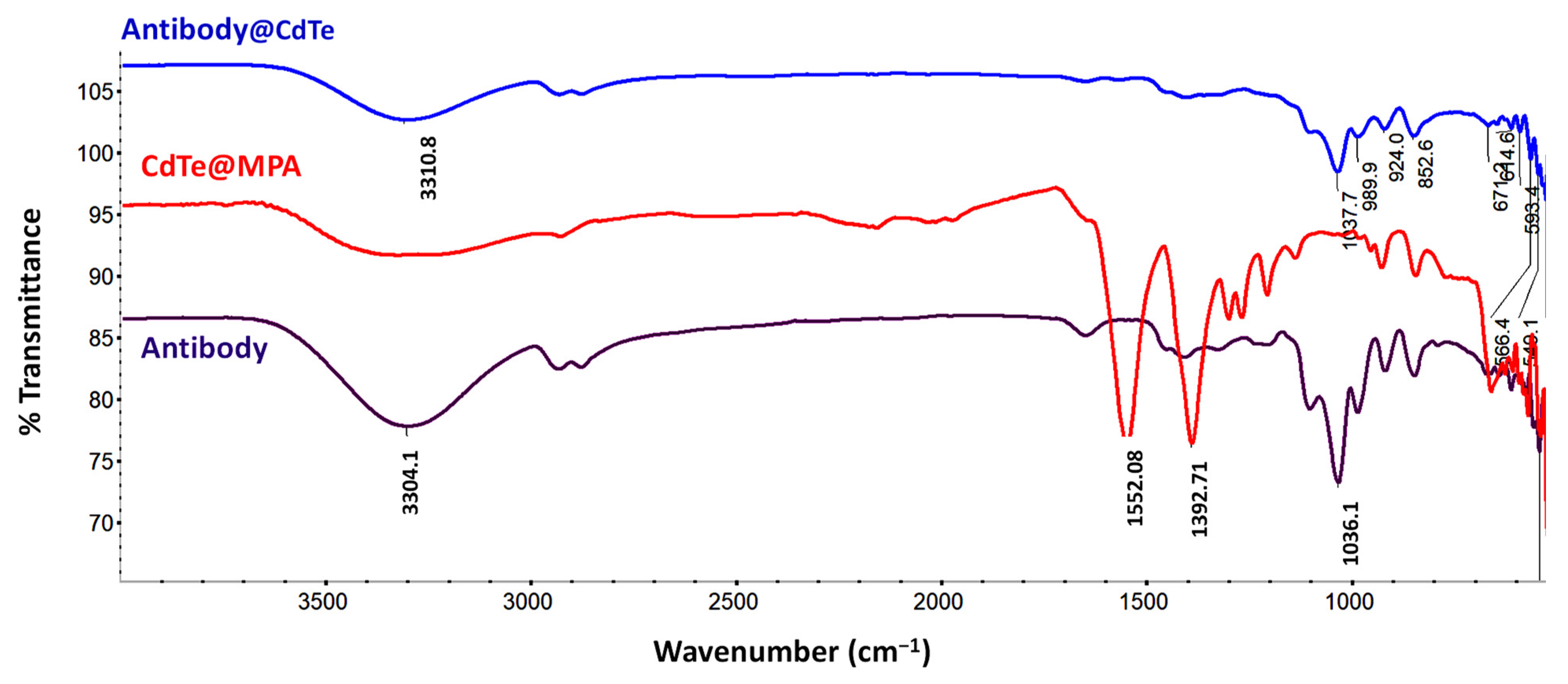 Chemosensors 10 00518 g004