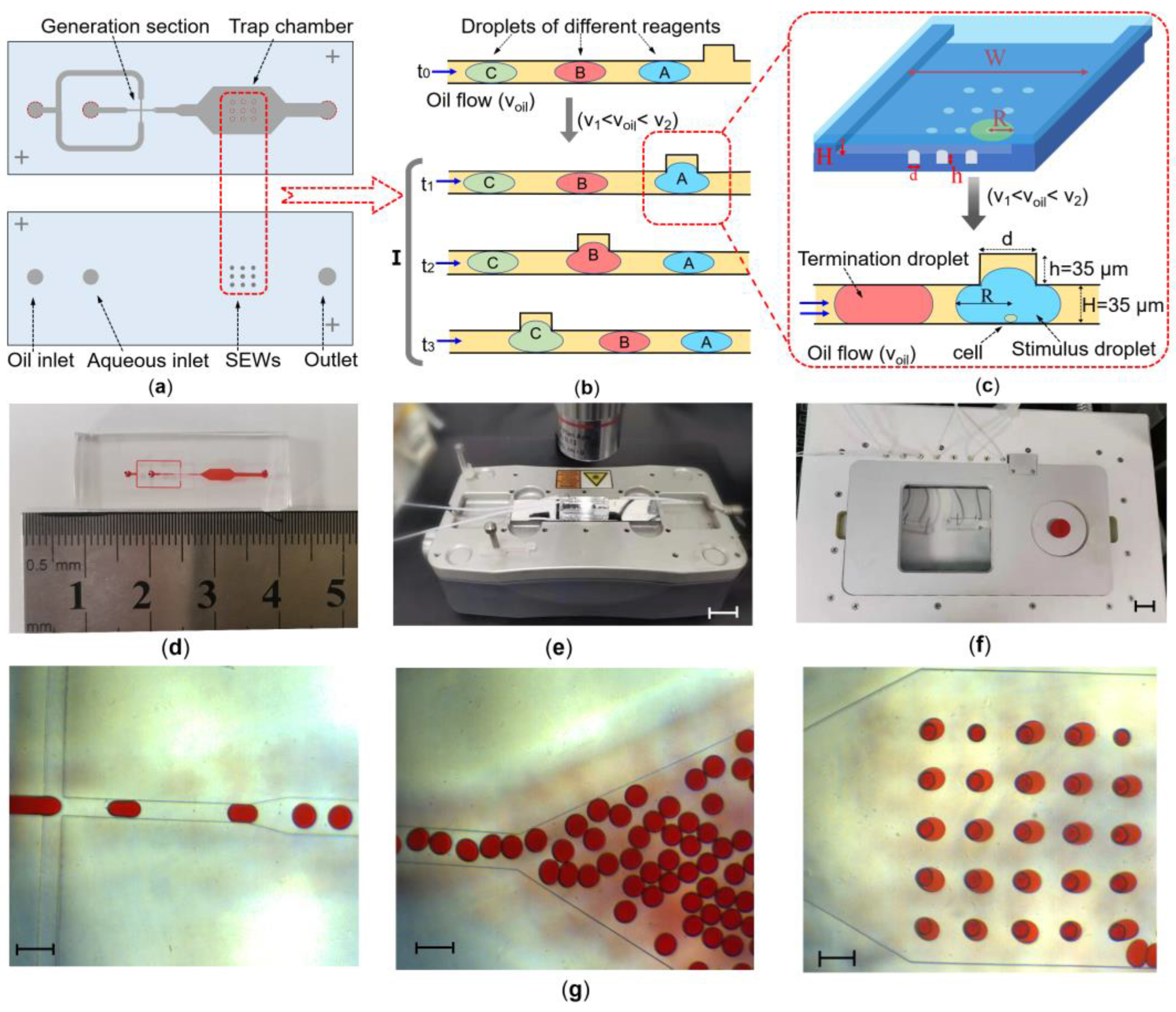 Chemosensors 10 00521 g001 Chemosensors 10 00521 g001