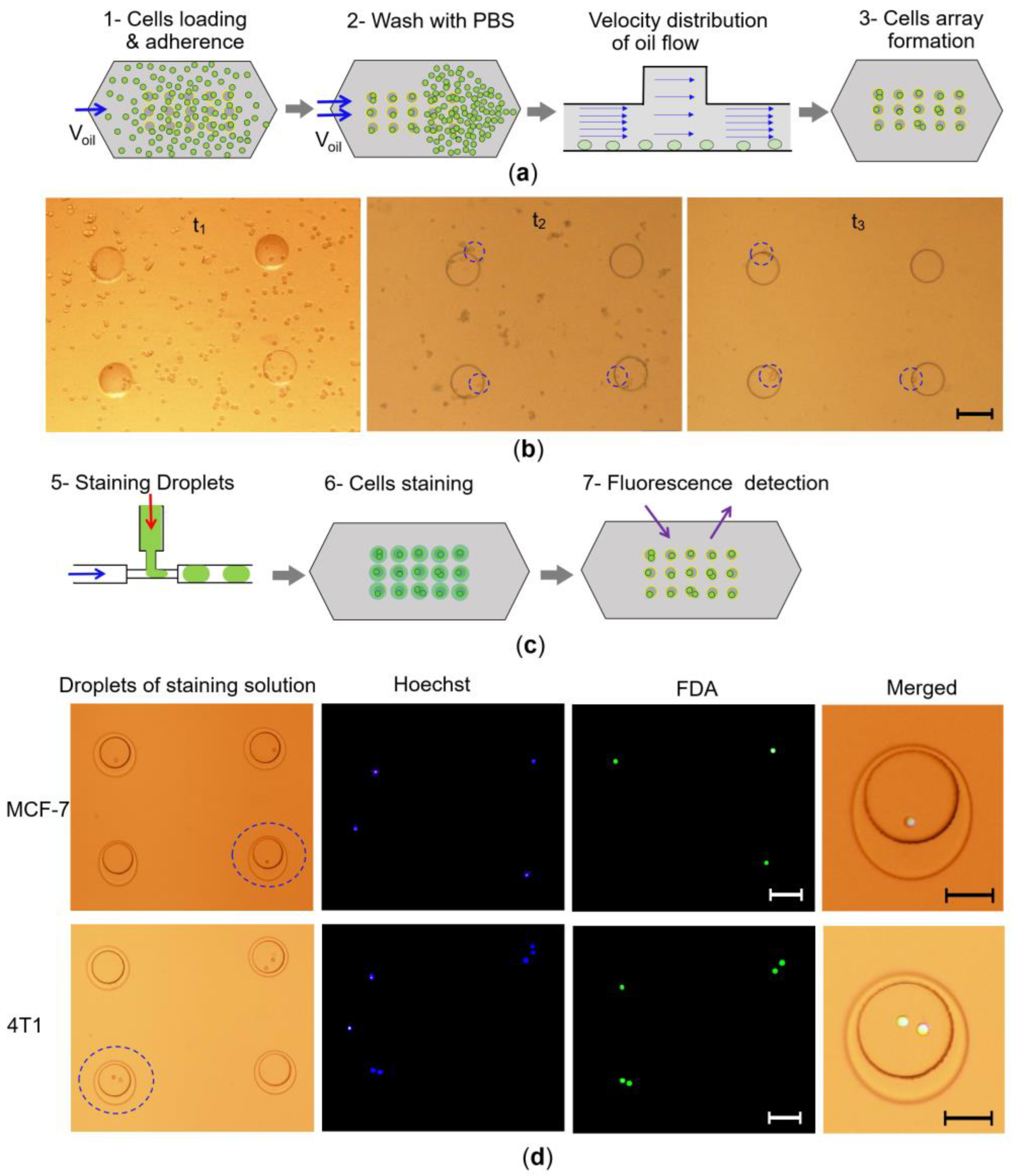 Chemosensors 10 00521 g004 Chemosensors 10 00521 g004