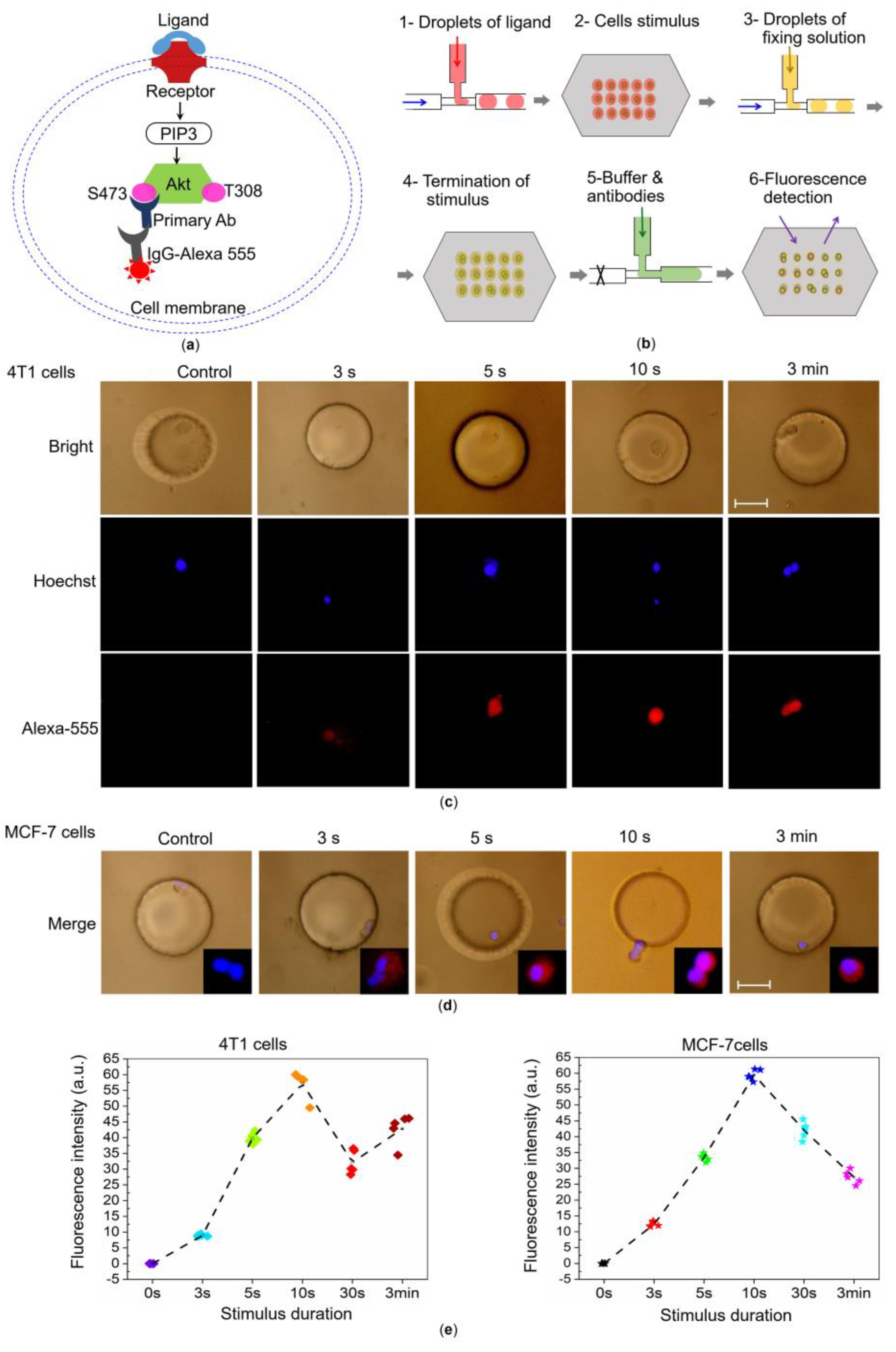 Chemosensors 10 00521 g005 Chemosensors 10 00521 g005