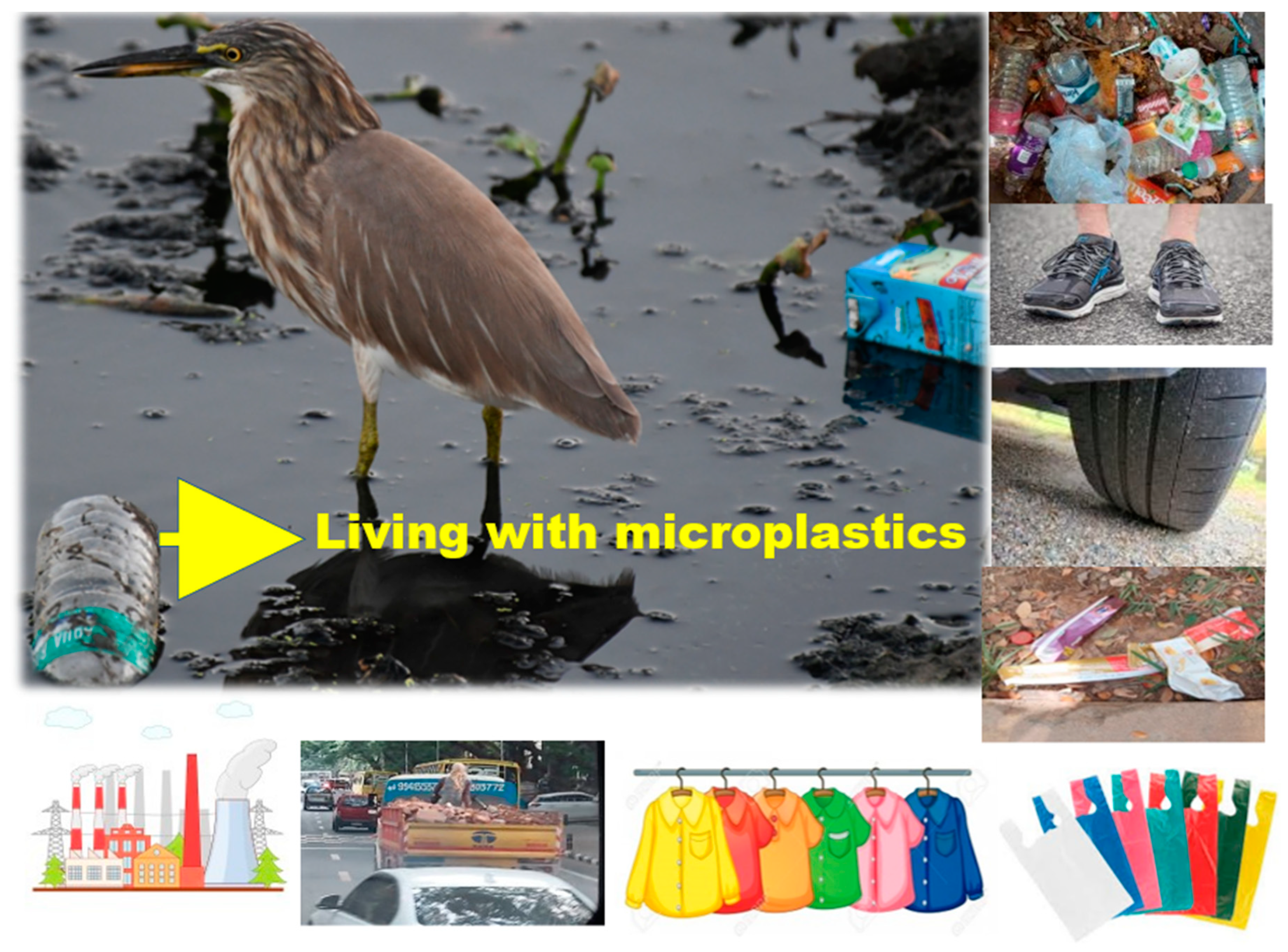 Chemosensors 10 00530 g001 Chemosensors 10 00530 g001