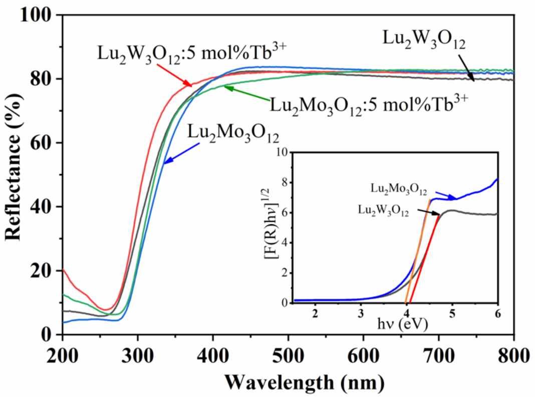 Chemosensors 10 00533 g010