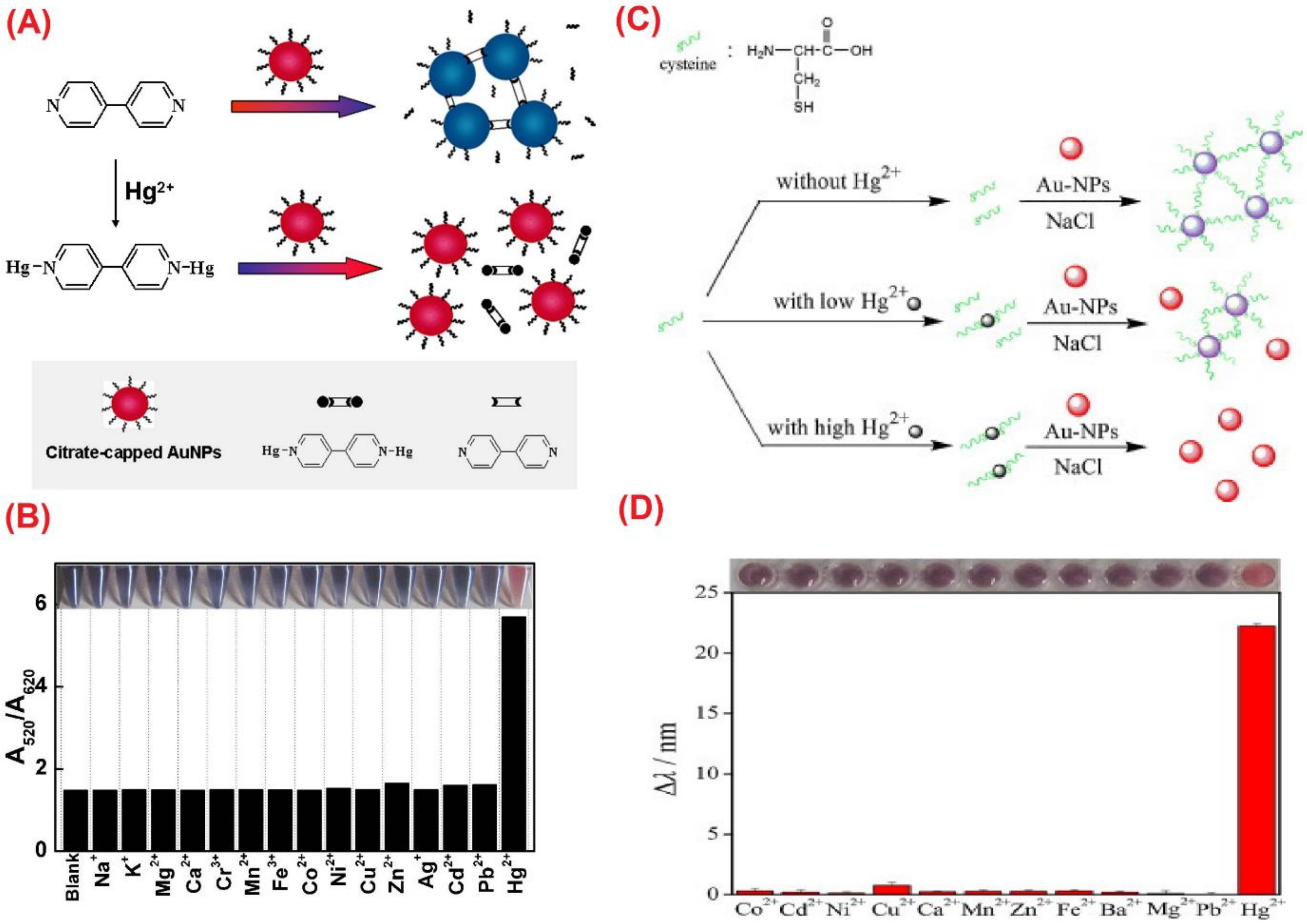 Chemosensors 10 00536 g002