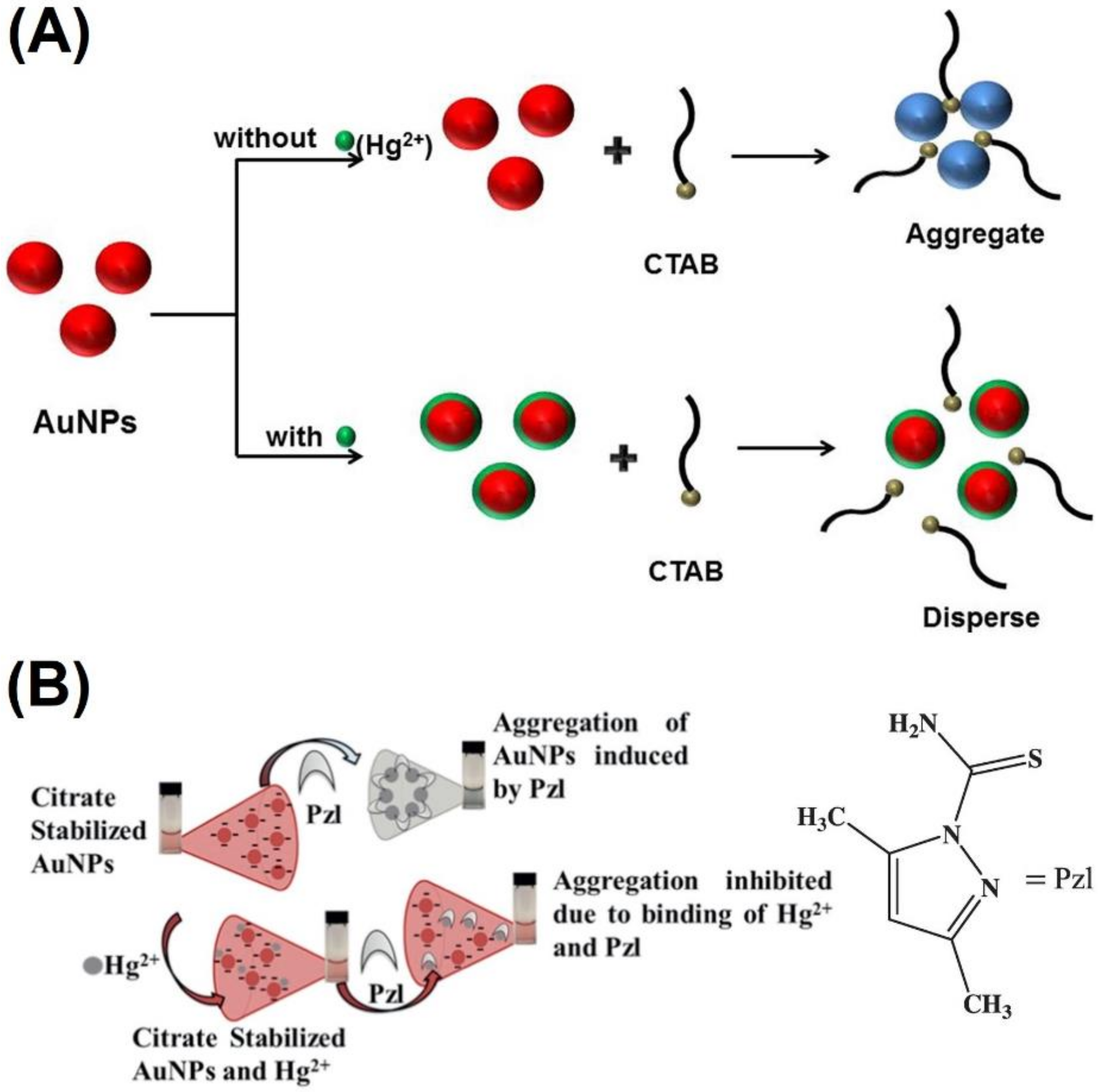 Chemosensors 10 00536 g005