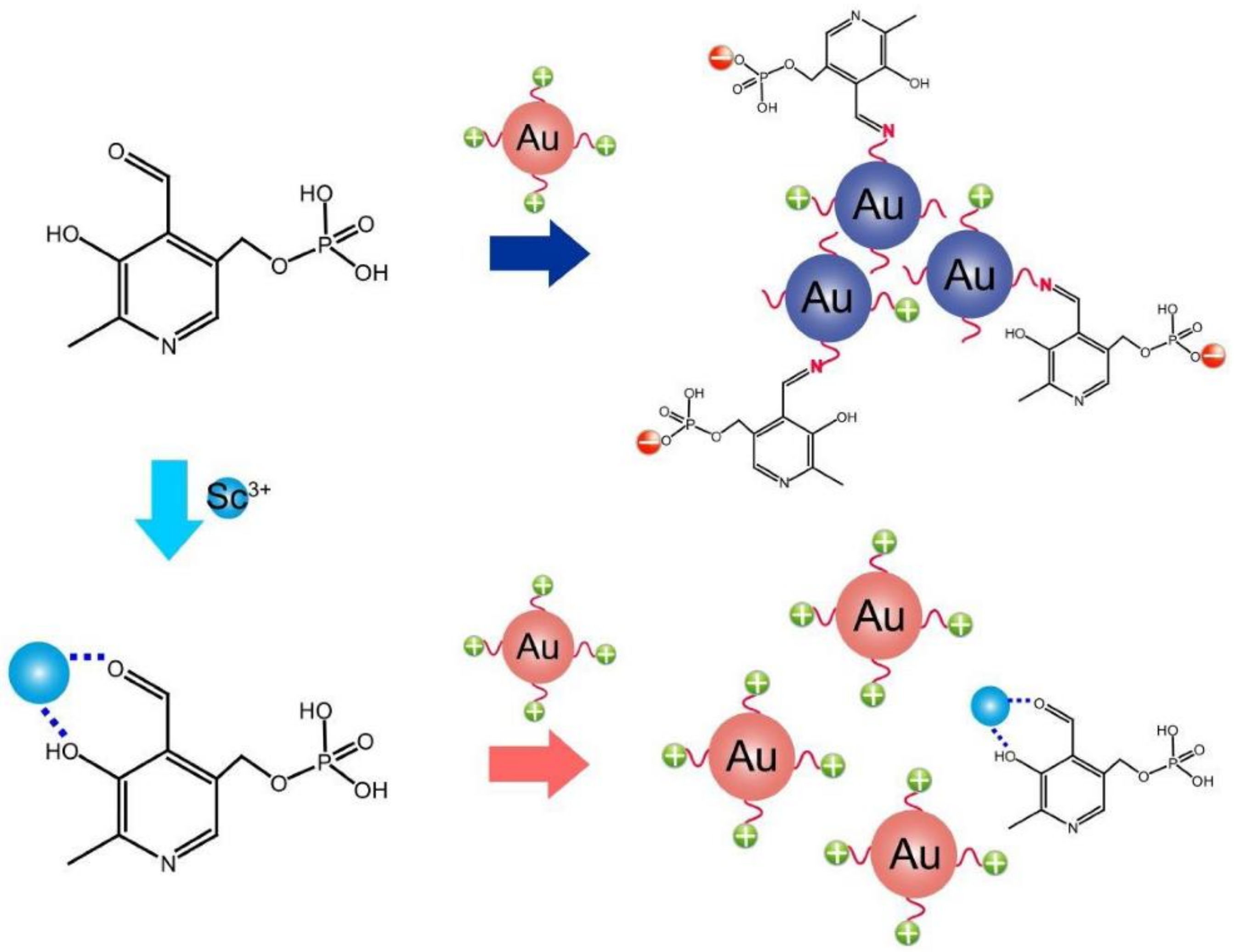 Chemosensors 10 00536 g007