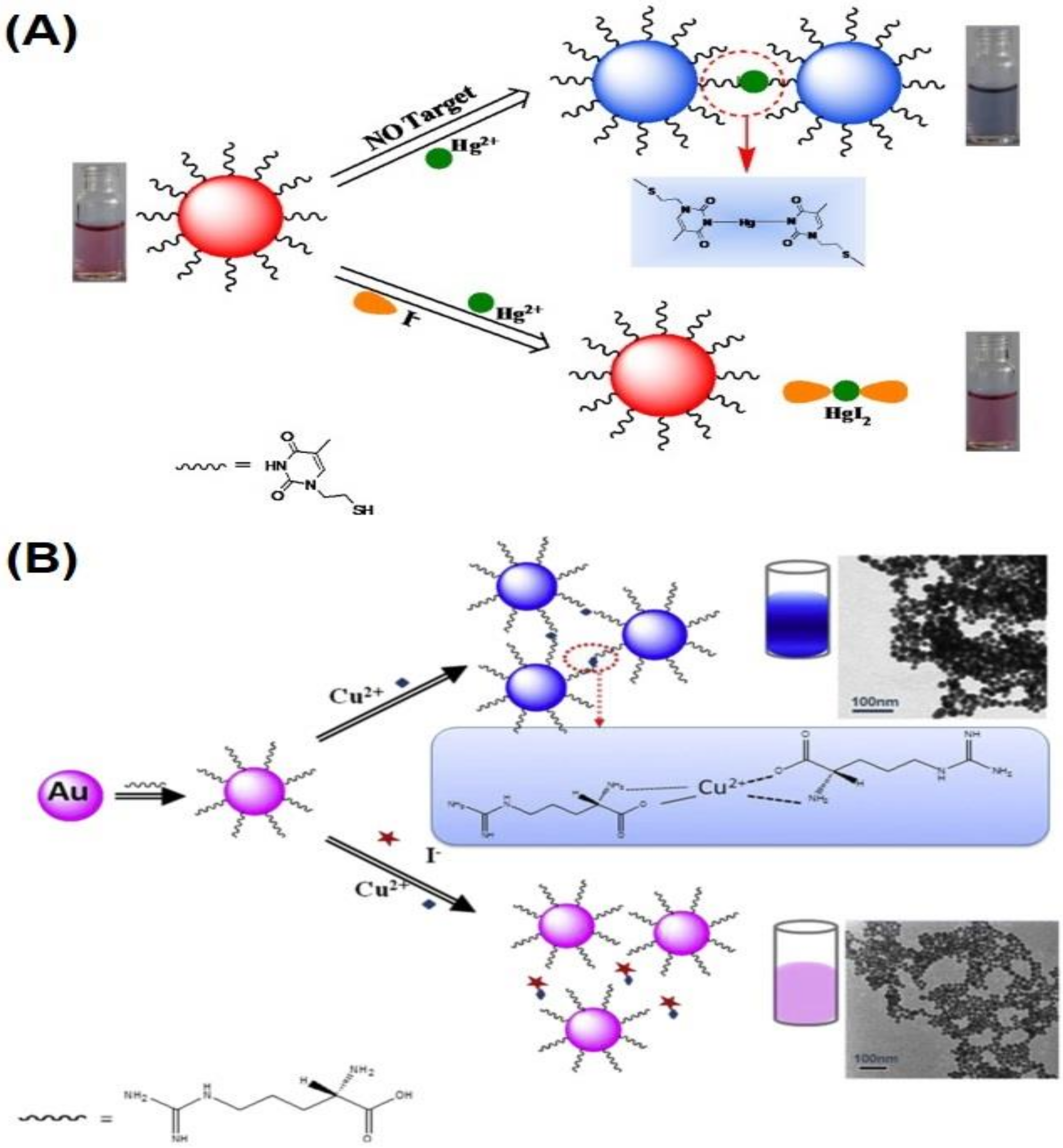 Chemosensors 10 00536 g008
