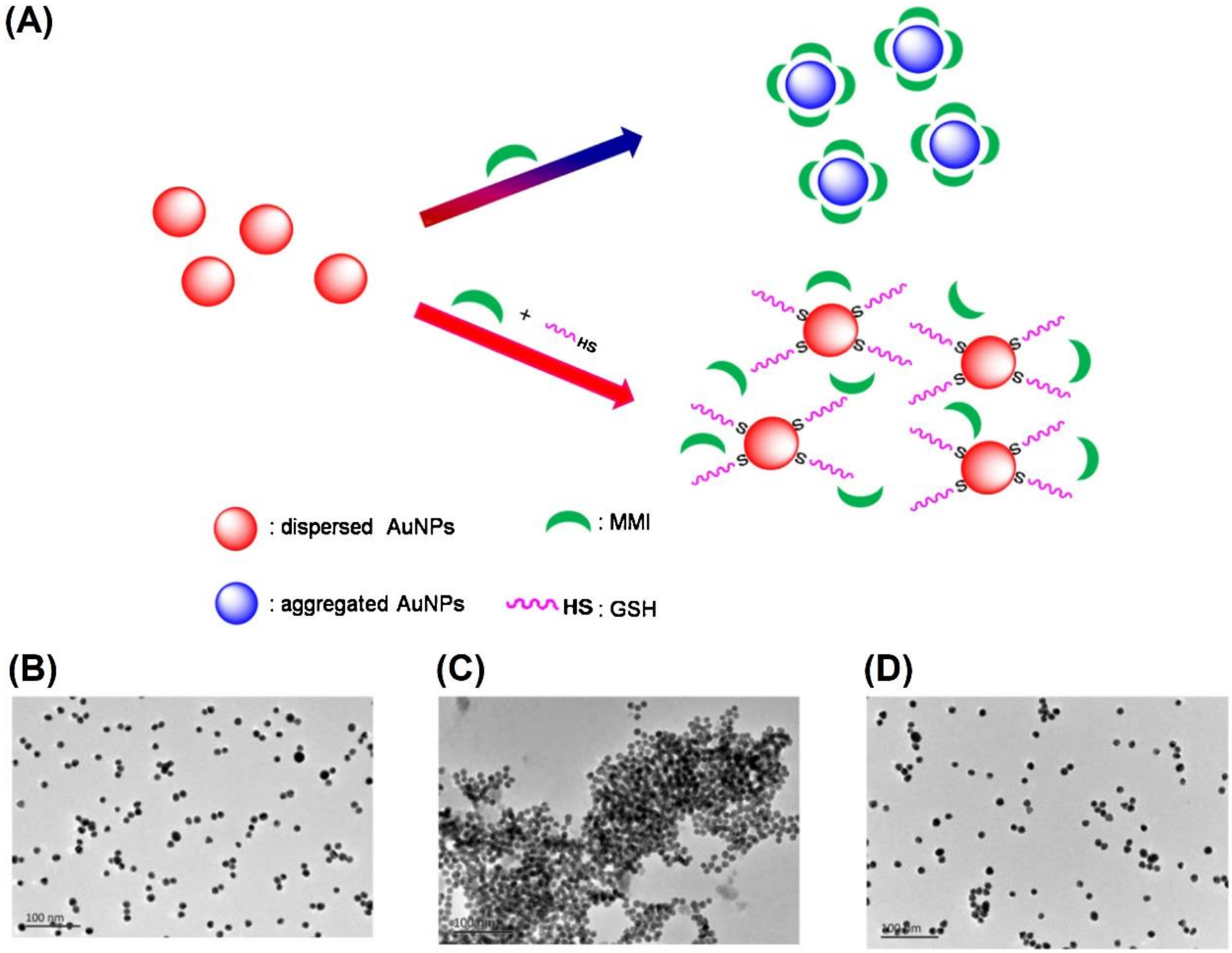 Chemosensors 10 00536 g013