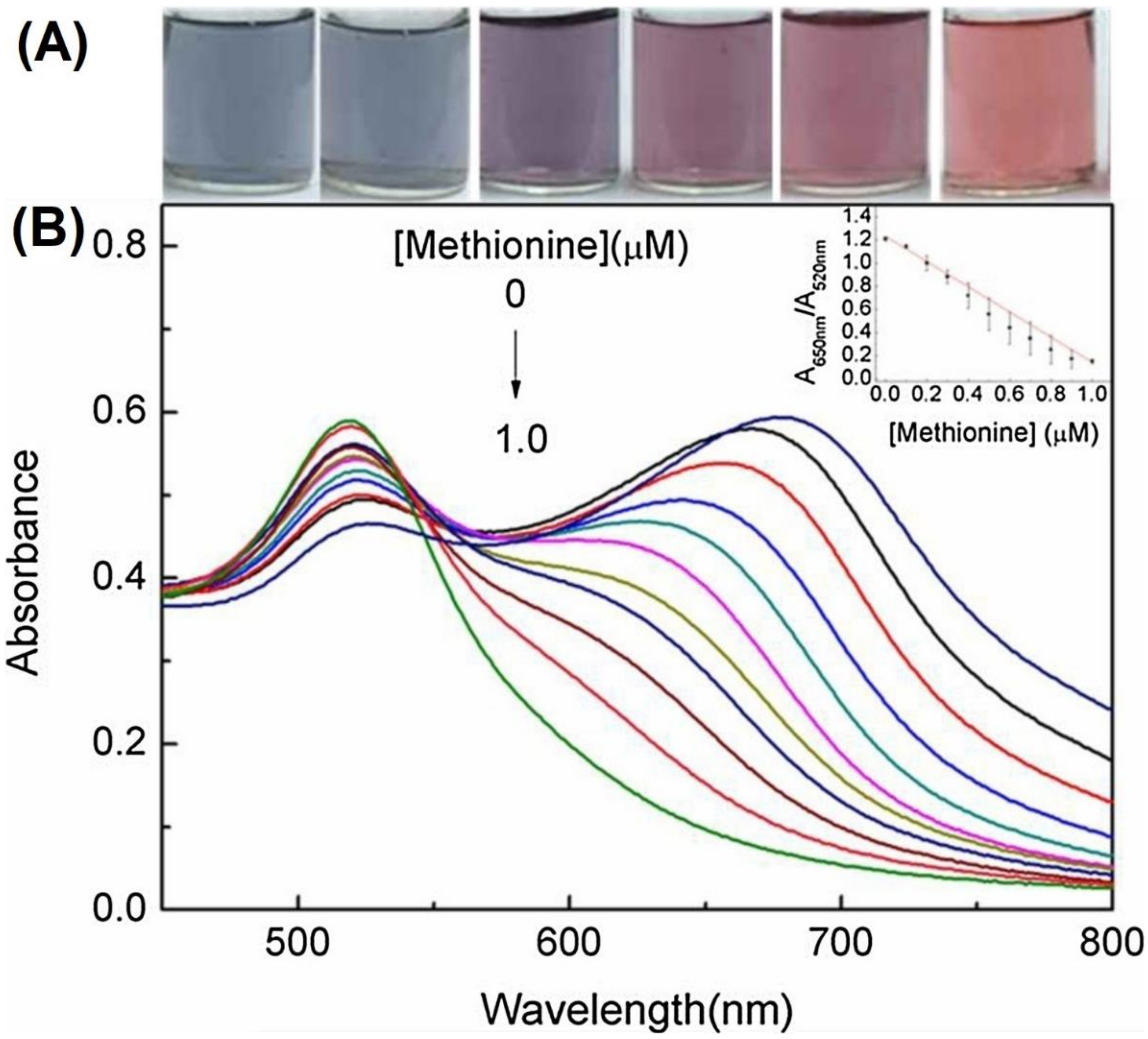 Chemosensors 10 00536 g014