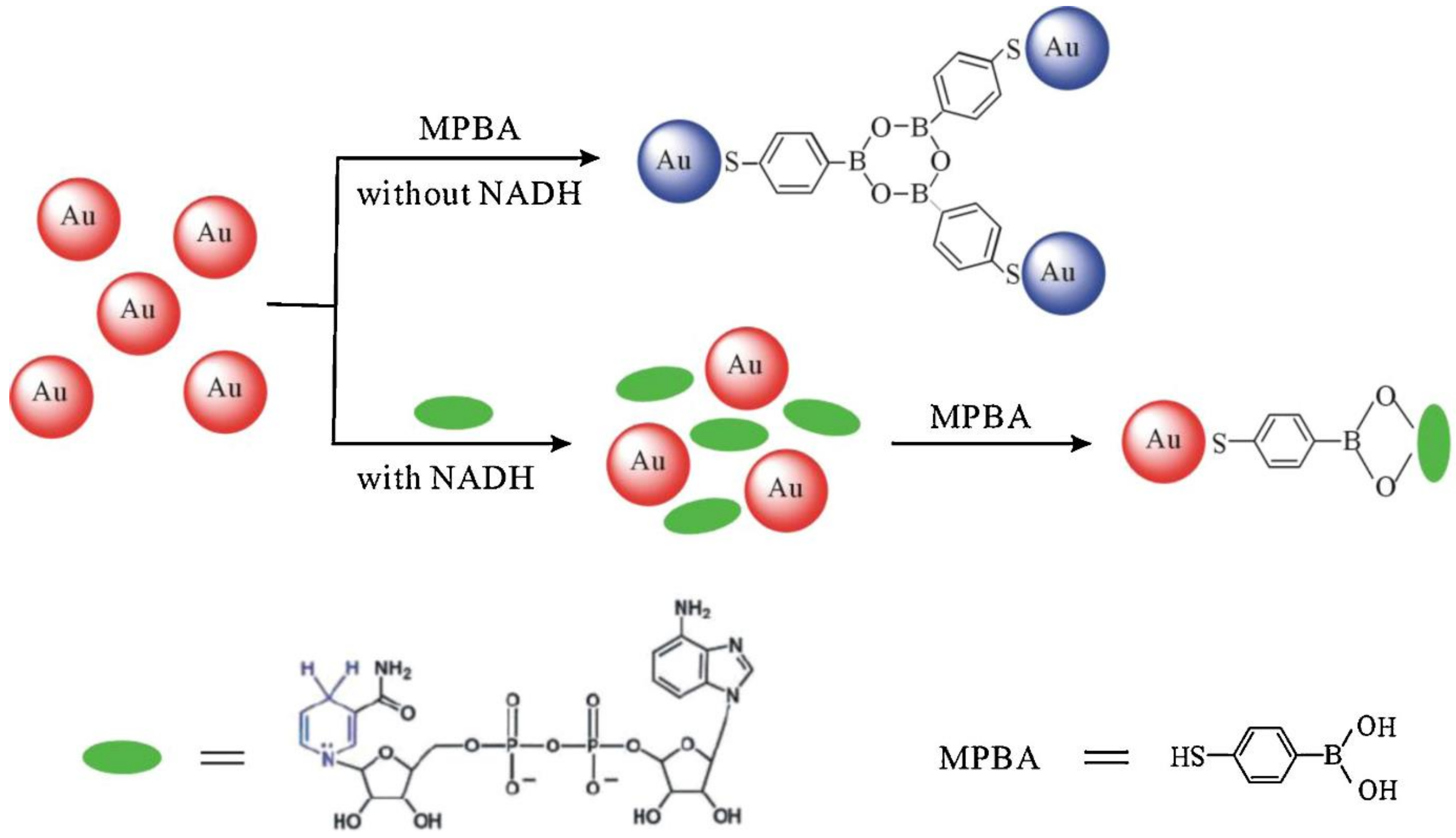 Chemosensors 10 00536 g015