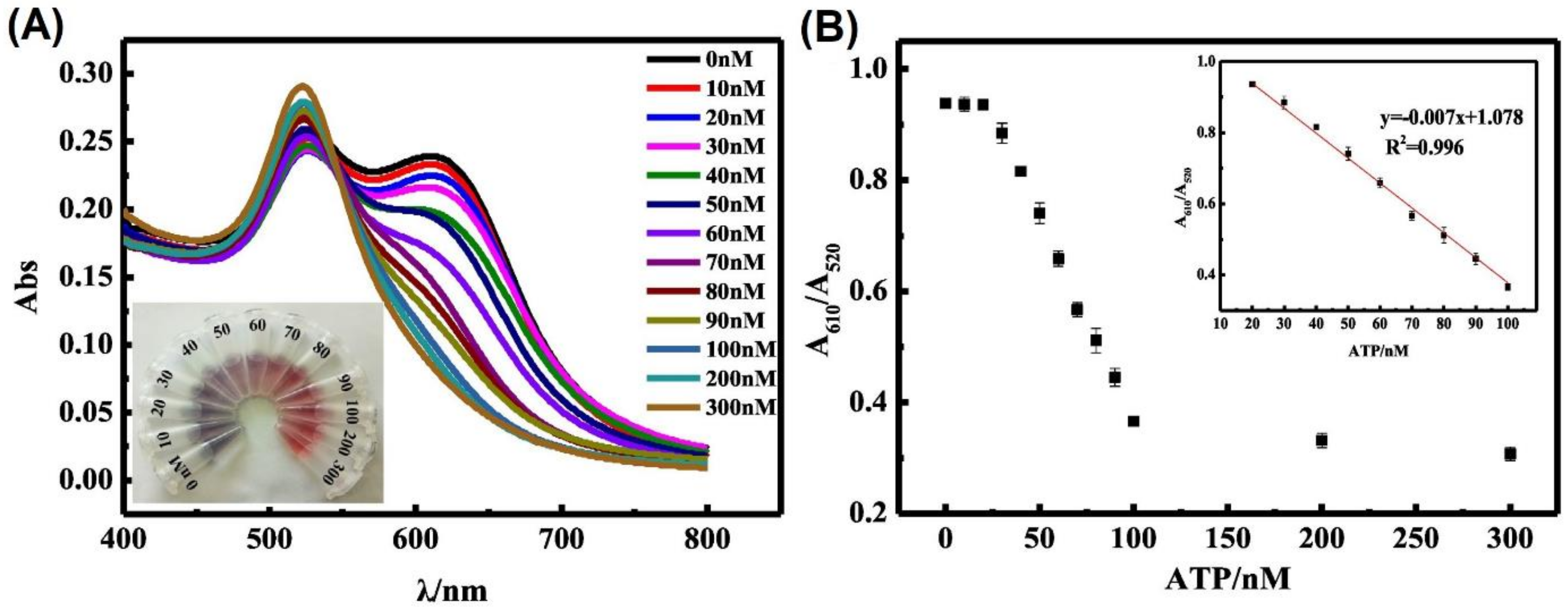 Chemosensors 10 00536 g016