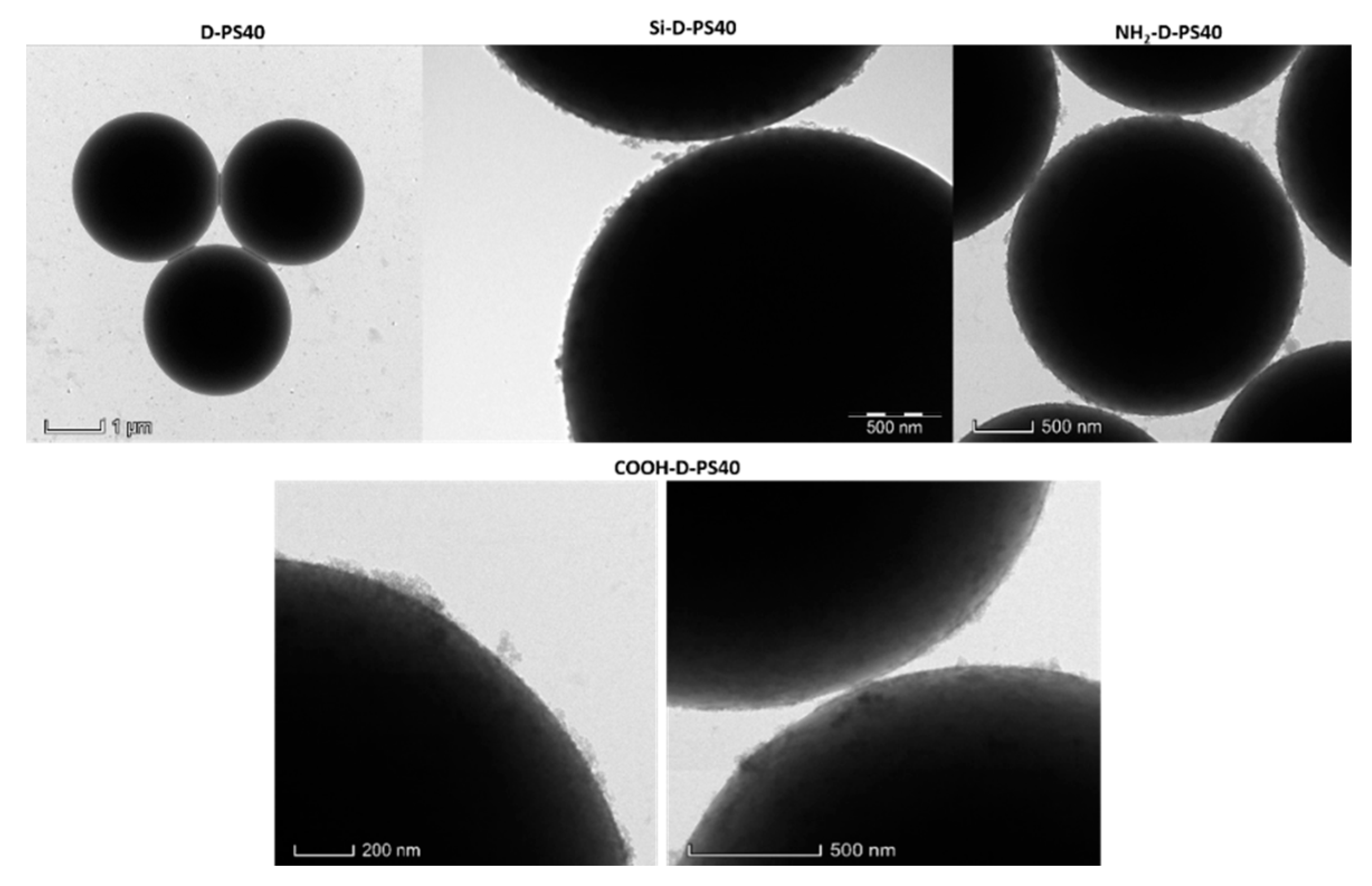 Chemosensors 11 00001 g003