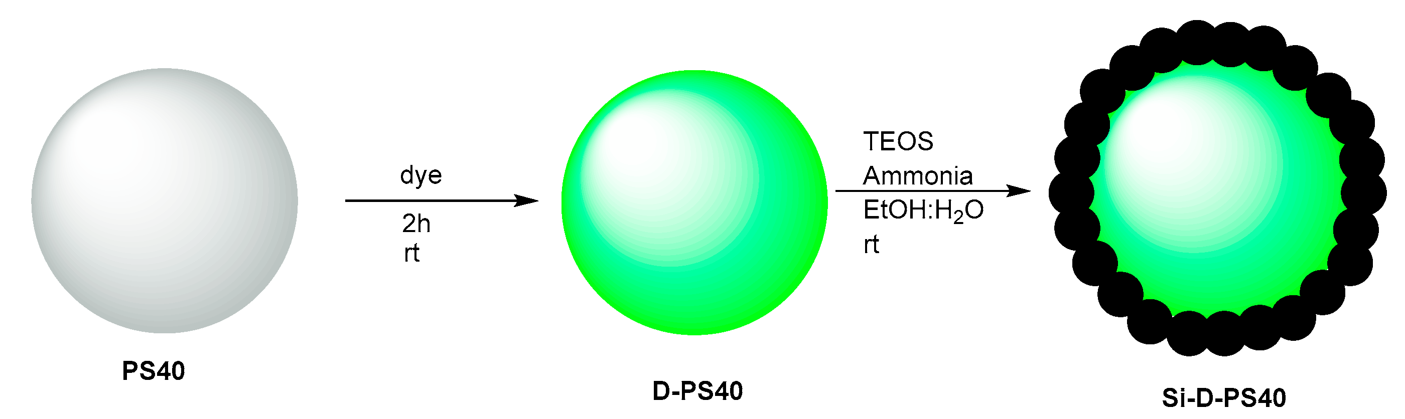 Chemosensors 11 00001 sch002