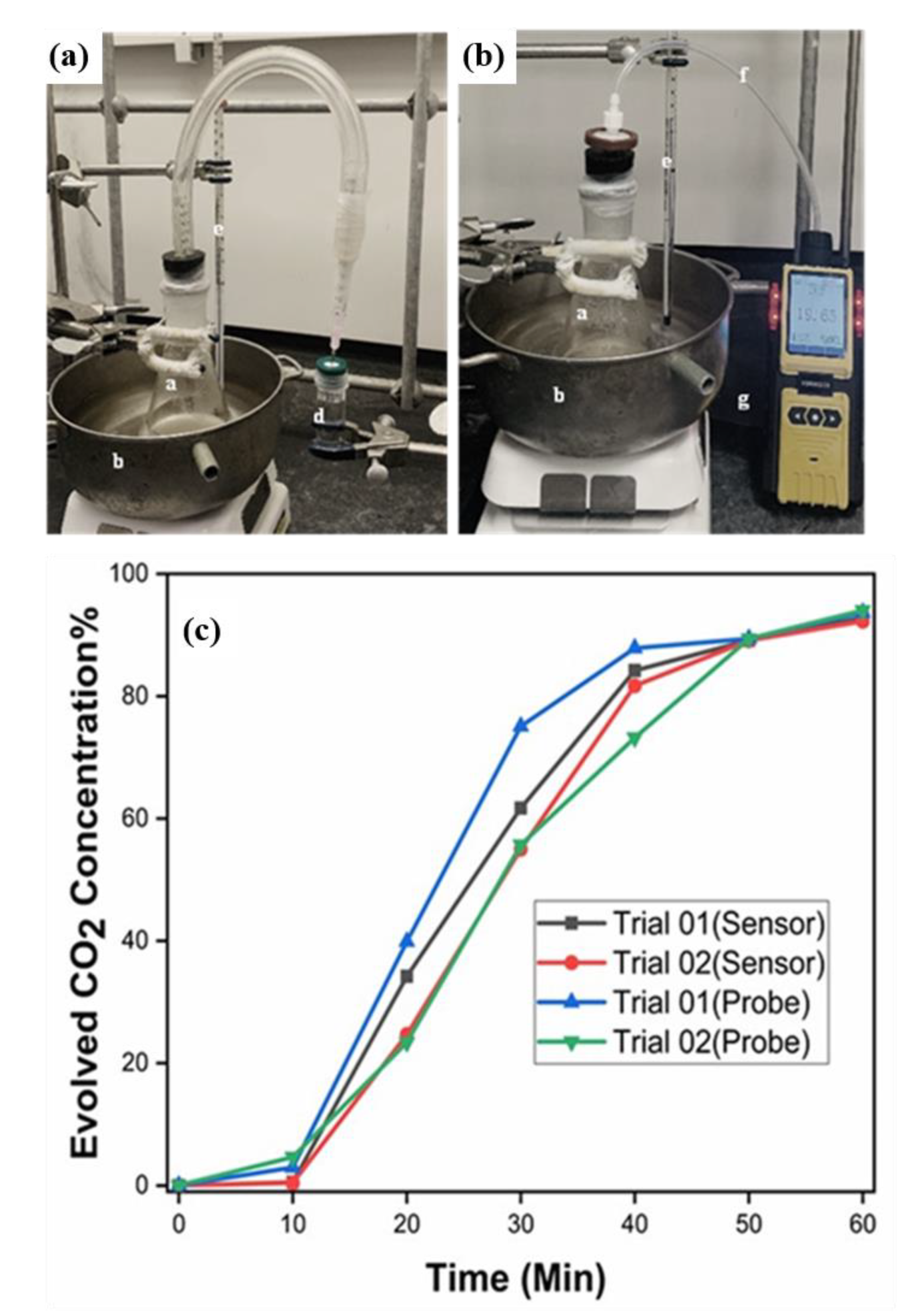 Chemosensors 11 00005 g007 Chemosensors 11 00005 g007