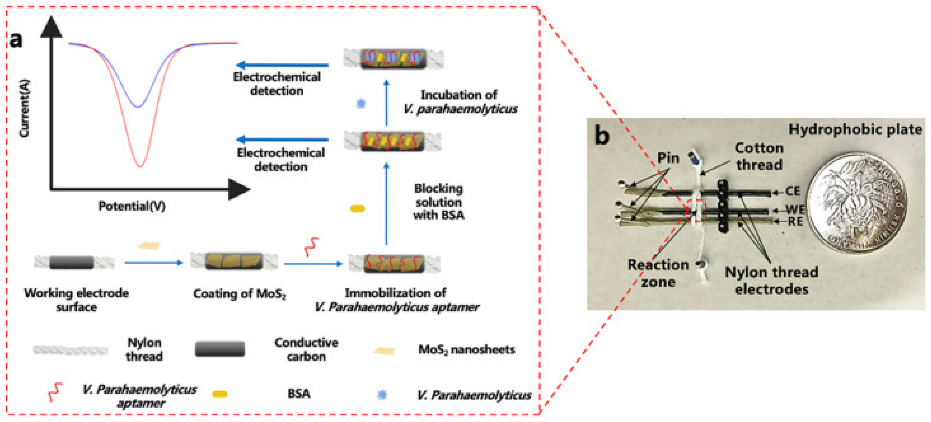Chemosensors 11 00014 g010 Chemosensors 11 00014 g010