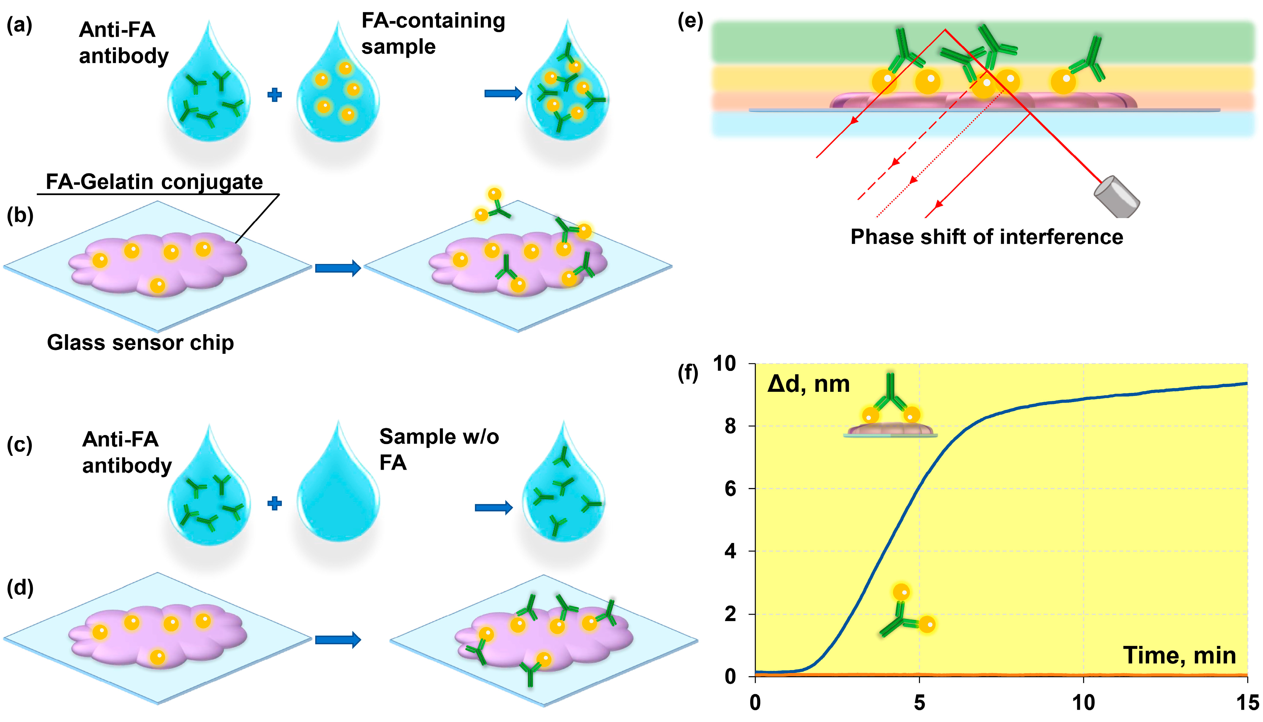 Chemosensors 11 00017 g002 Chemosensors 11 00017 g002