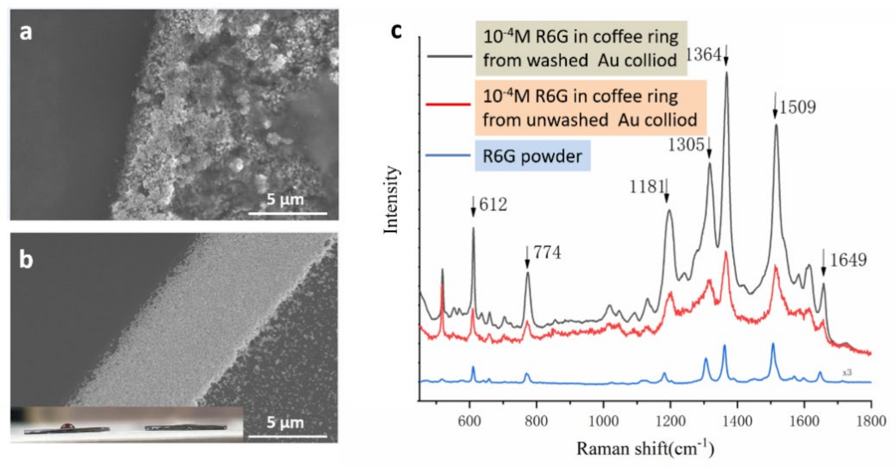 Chemosensors 11 00022 g002