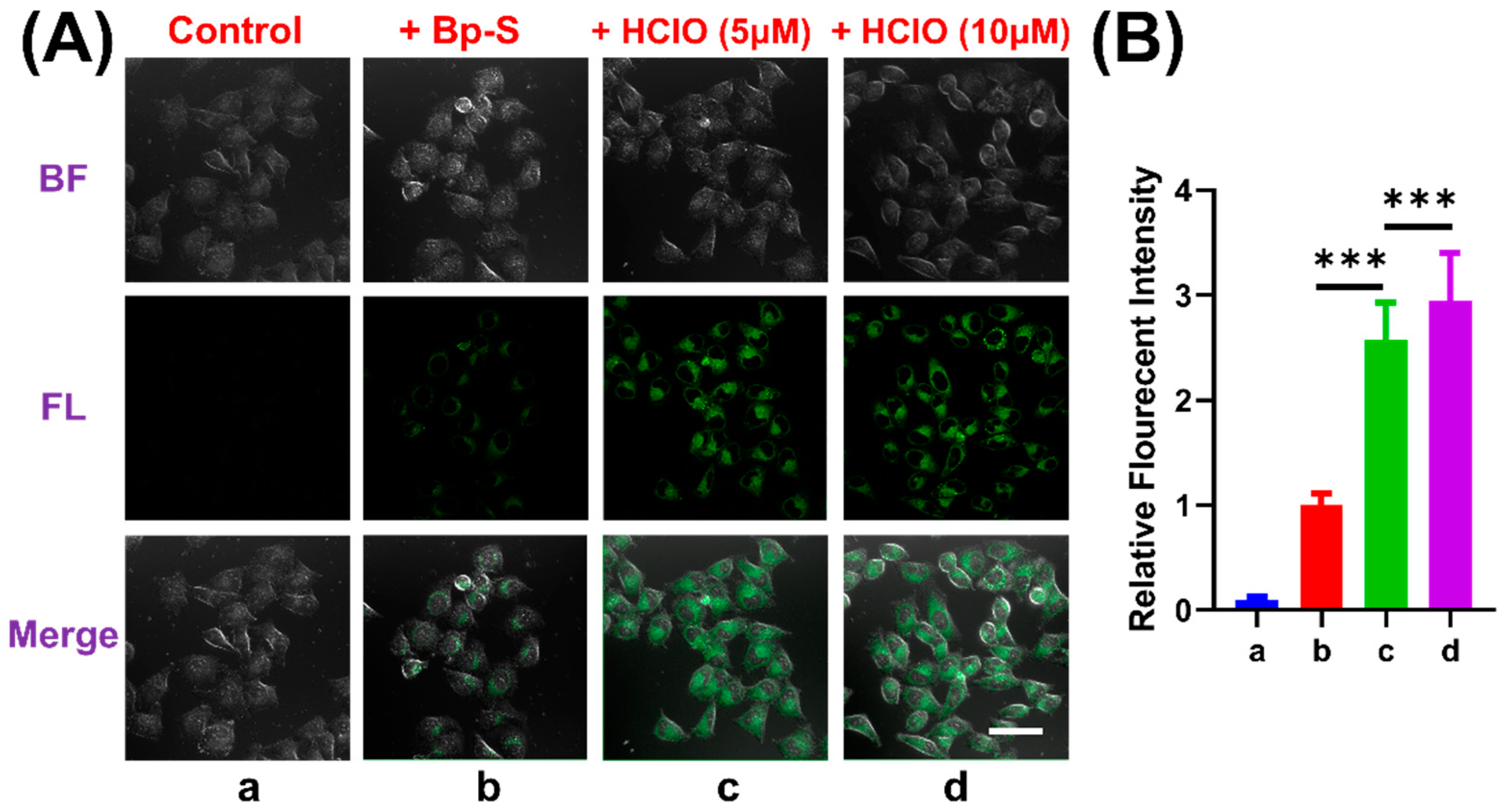 Chemosensors 11 00026 g006