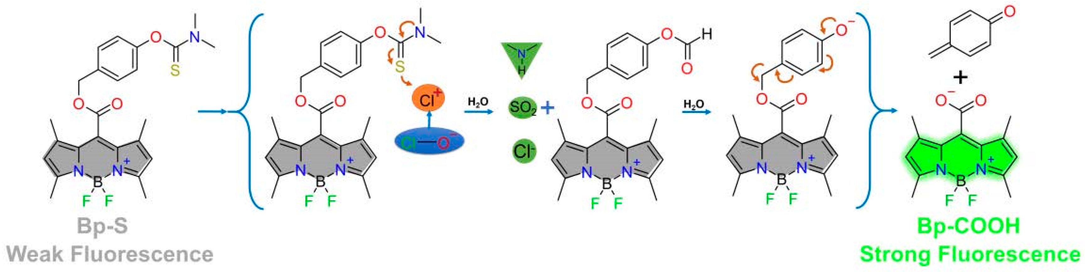 Chemosensors 11 00026 sch001