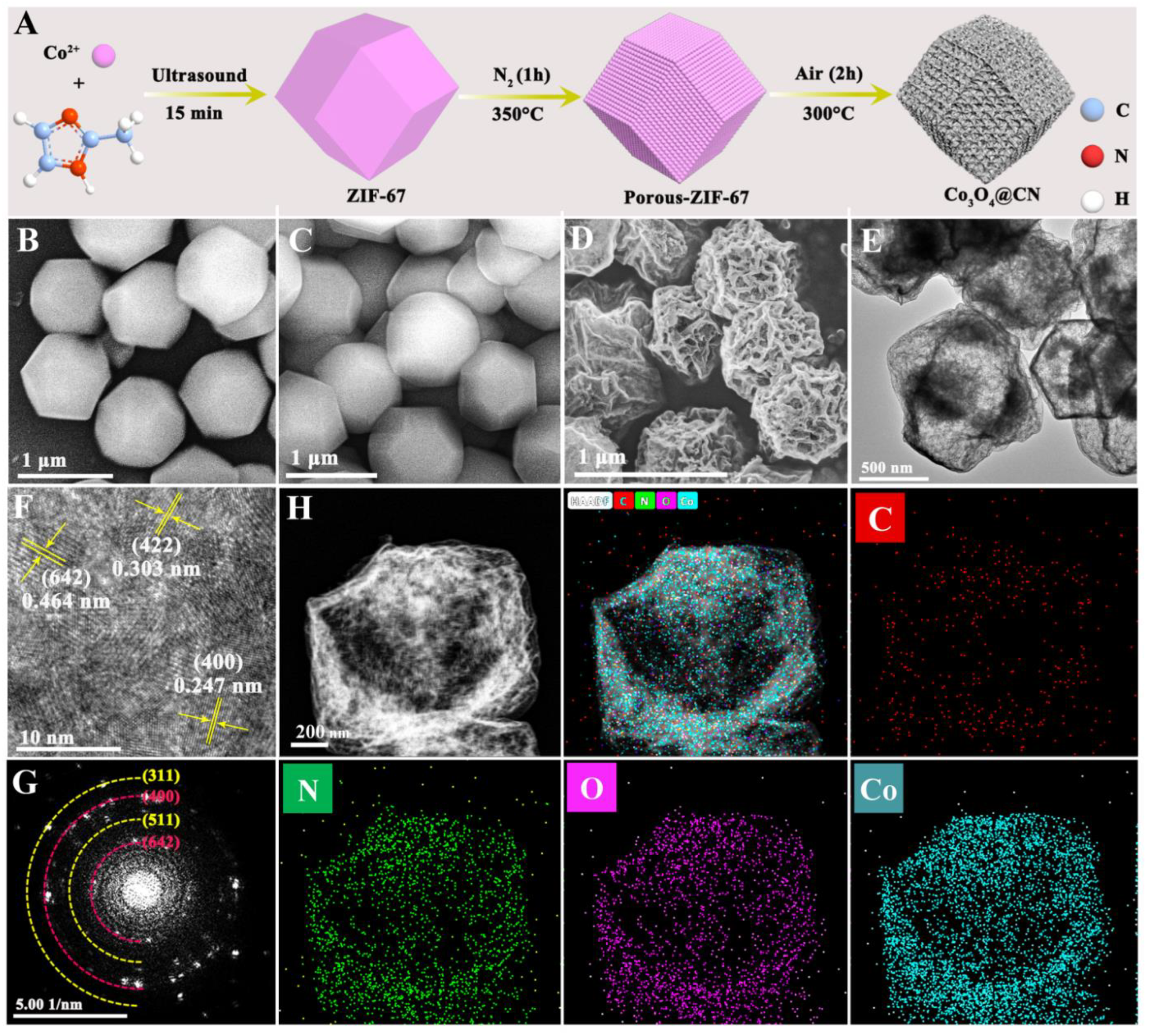 Chemosensors 11 00027 g001