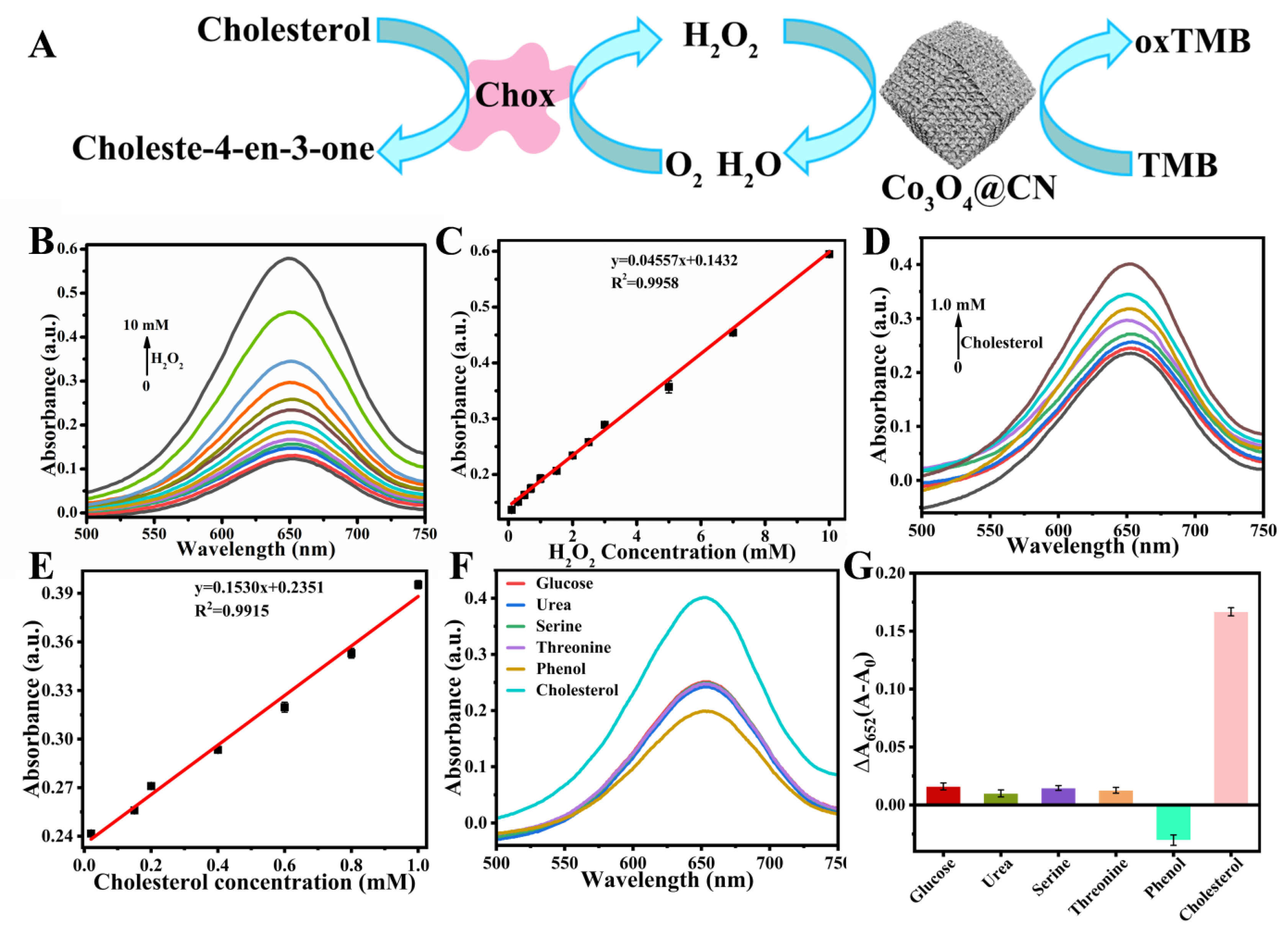 Chemosensors 11 00027 g005