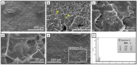 Chemosensors 11 00028 g003 550