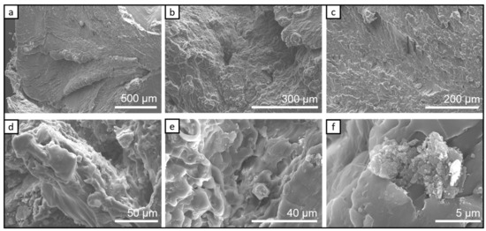 Chemosensors 11 00028 g005 550