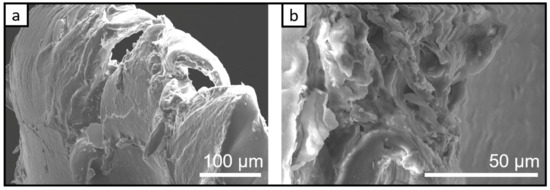 Chemosensors 11 00028 g006 550