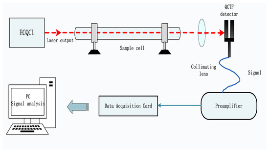 Chemosensors 11 00030 g002 550