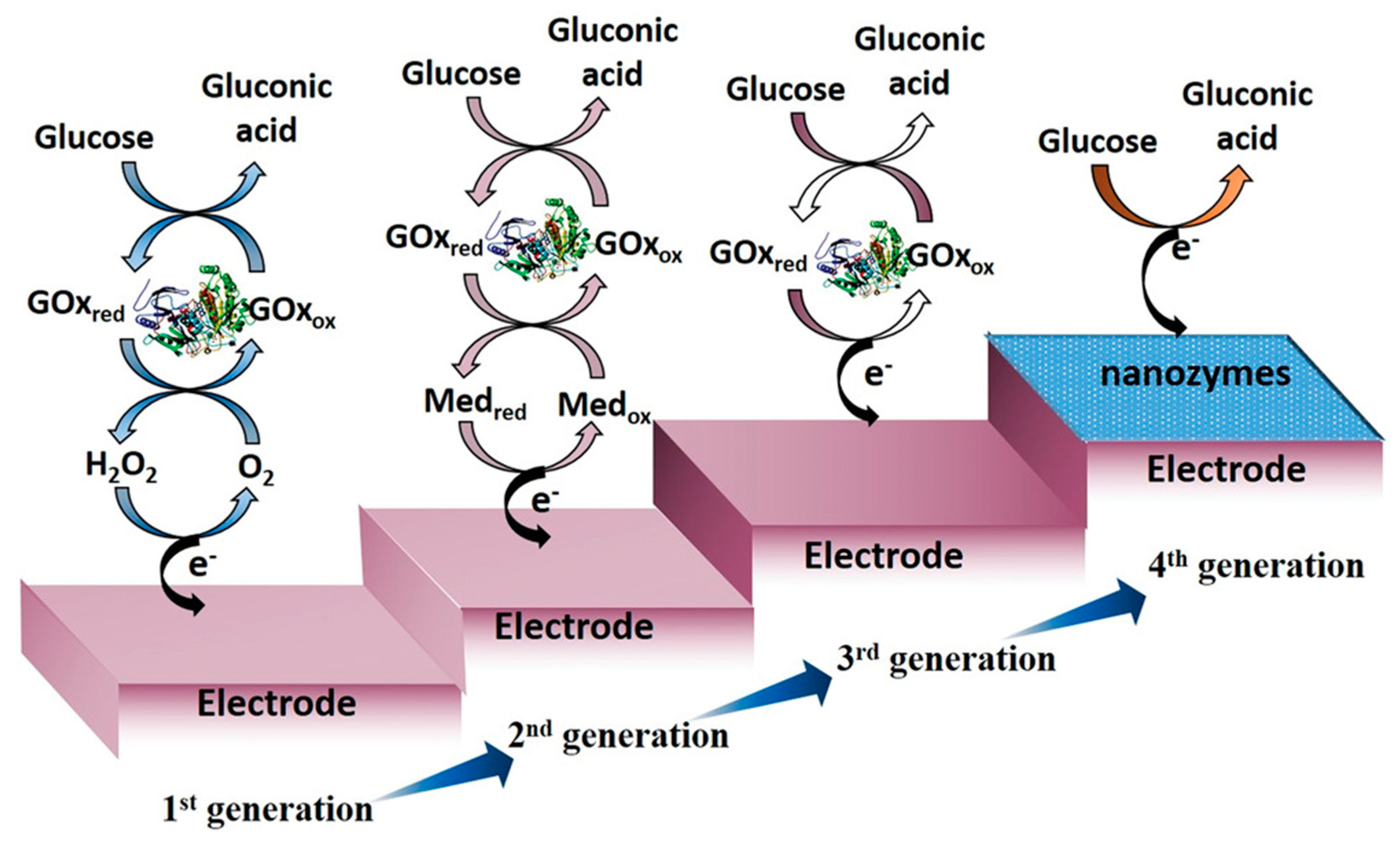 Chemosensors 11 00032 g001