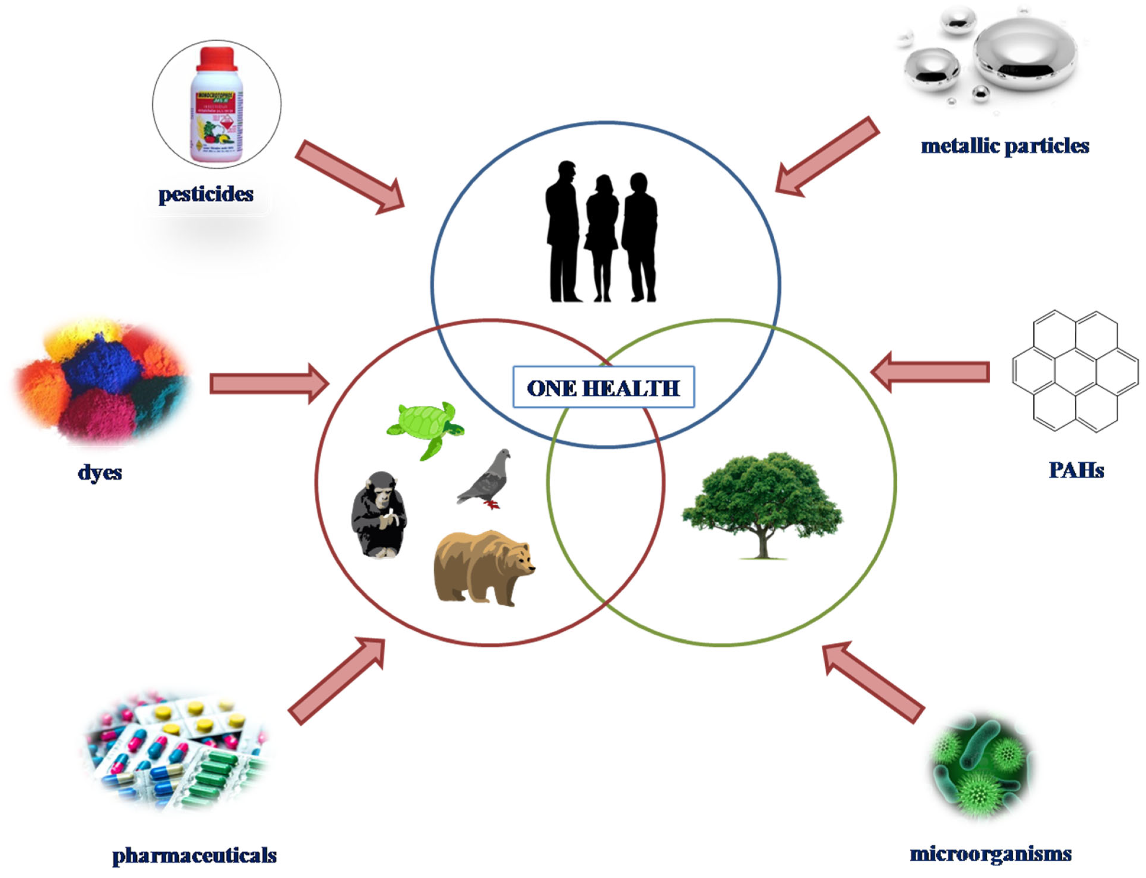 Chemosensors 11 00035 g001