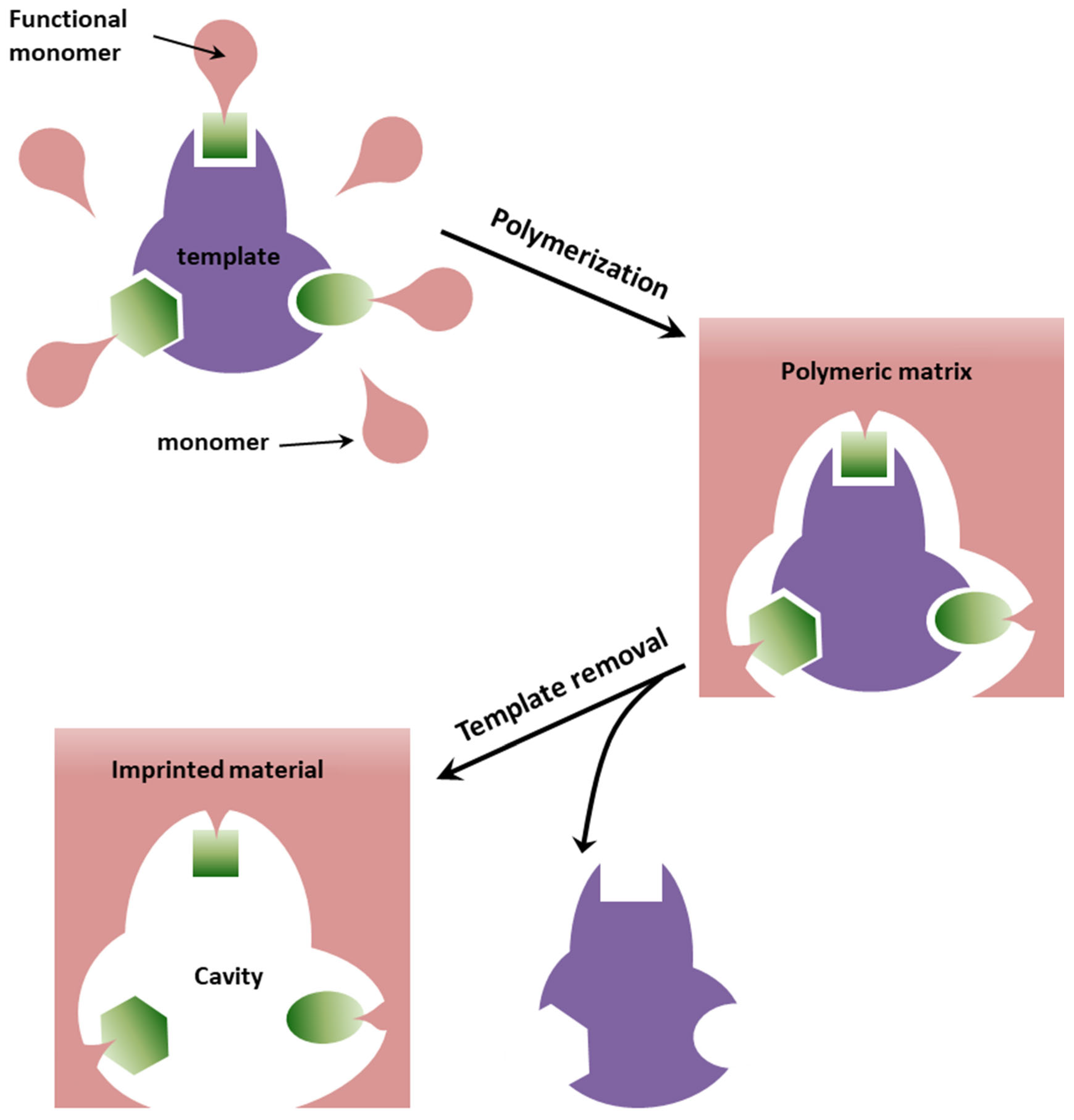Chemosensors 11 00035 g002