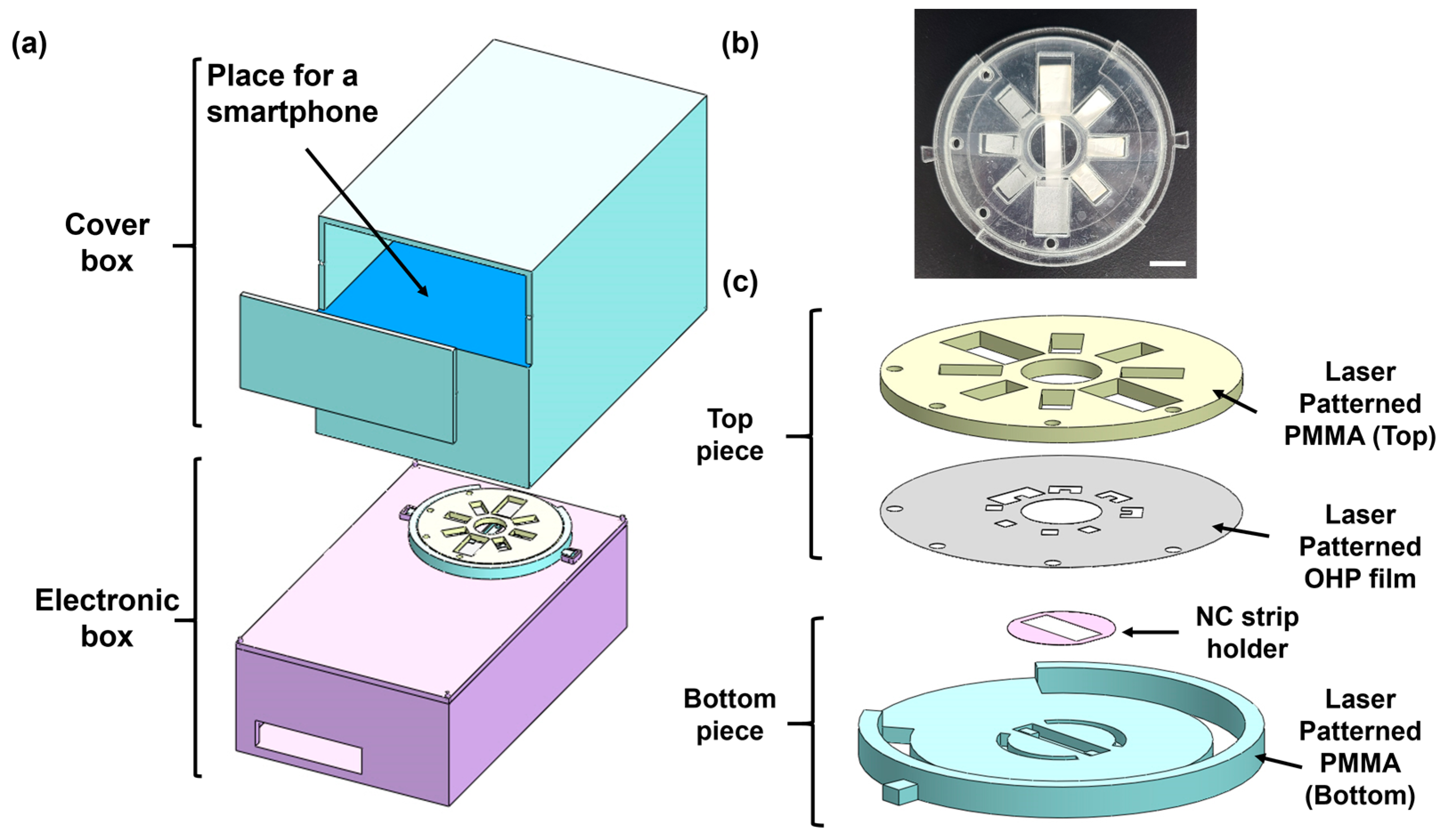 Chemosensors 11 00036 g001